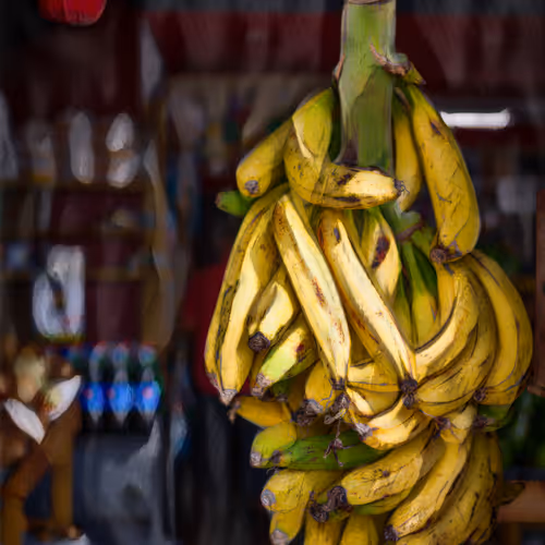 Bodegón