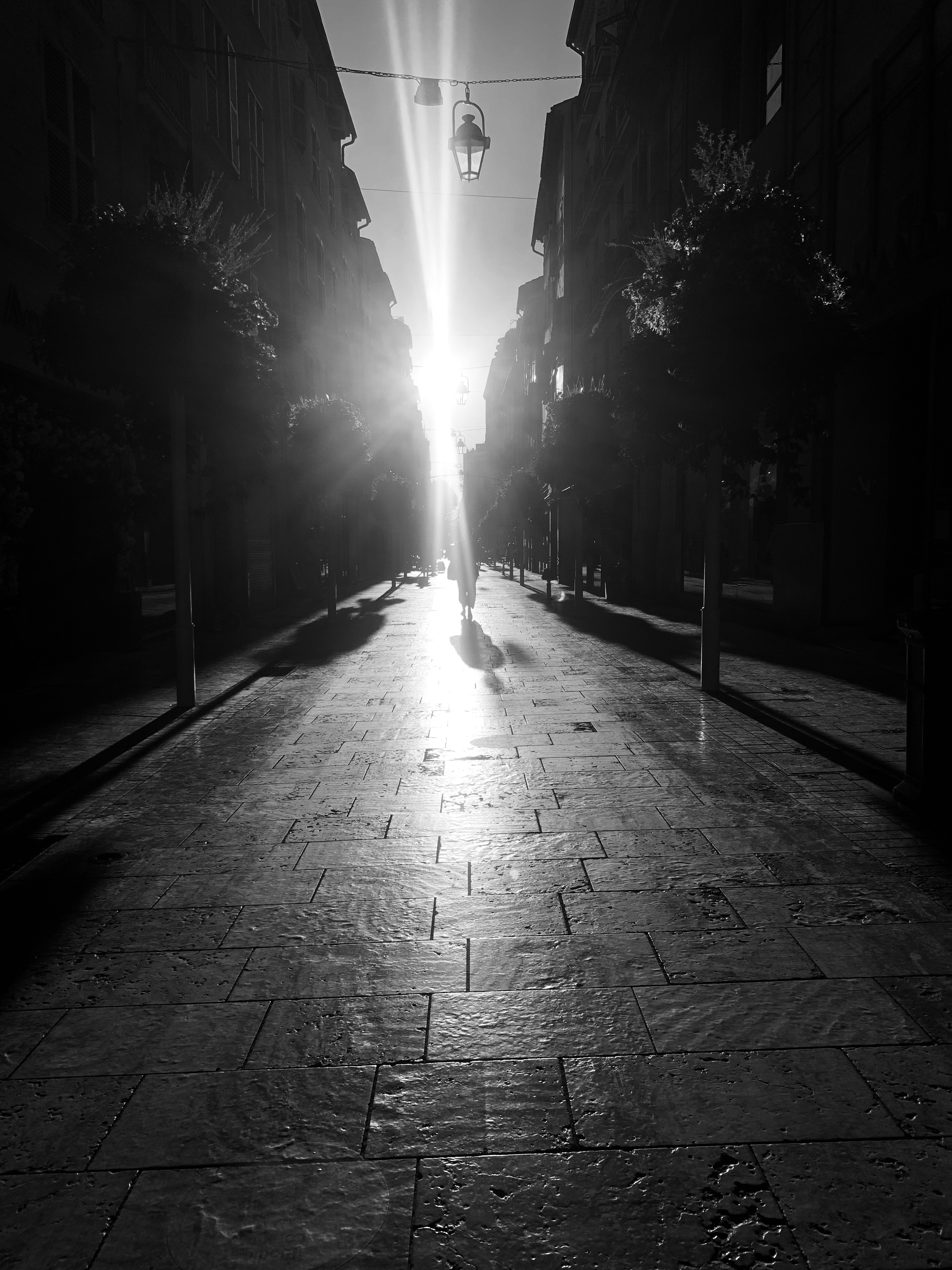 Drenched in light #23