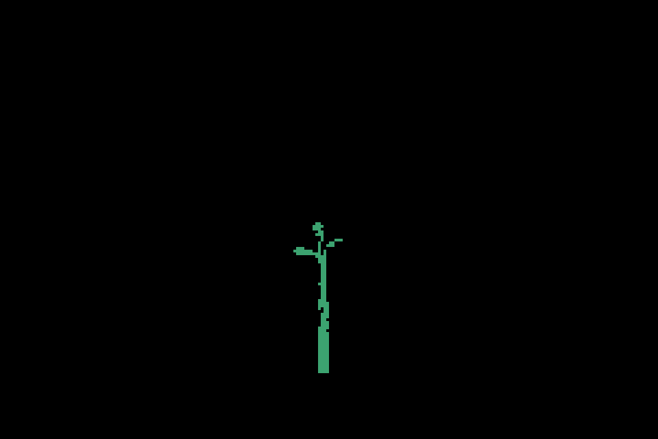 Bloom #5, Autonomint X Mahya Rad.