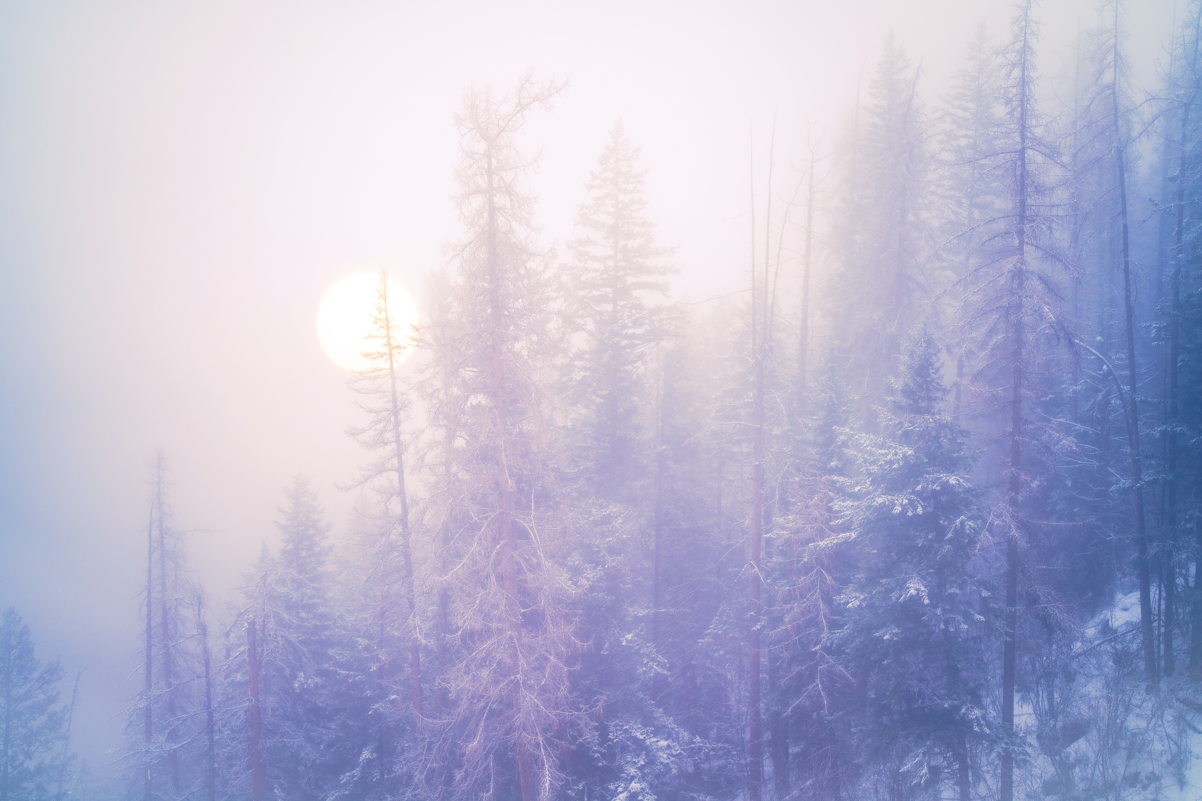moody morning