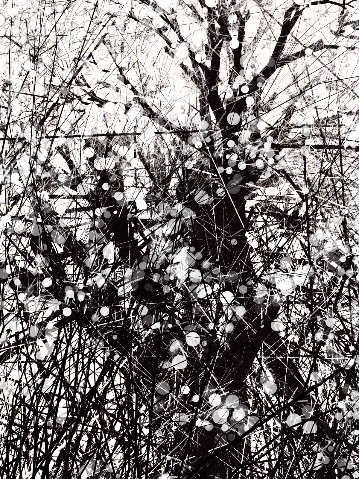 conversation with the wind