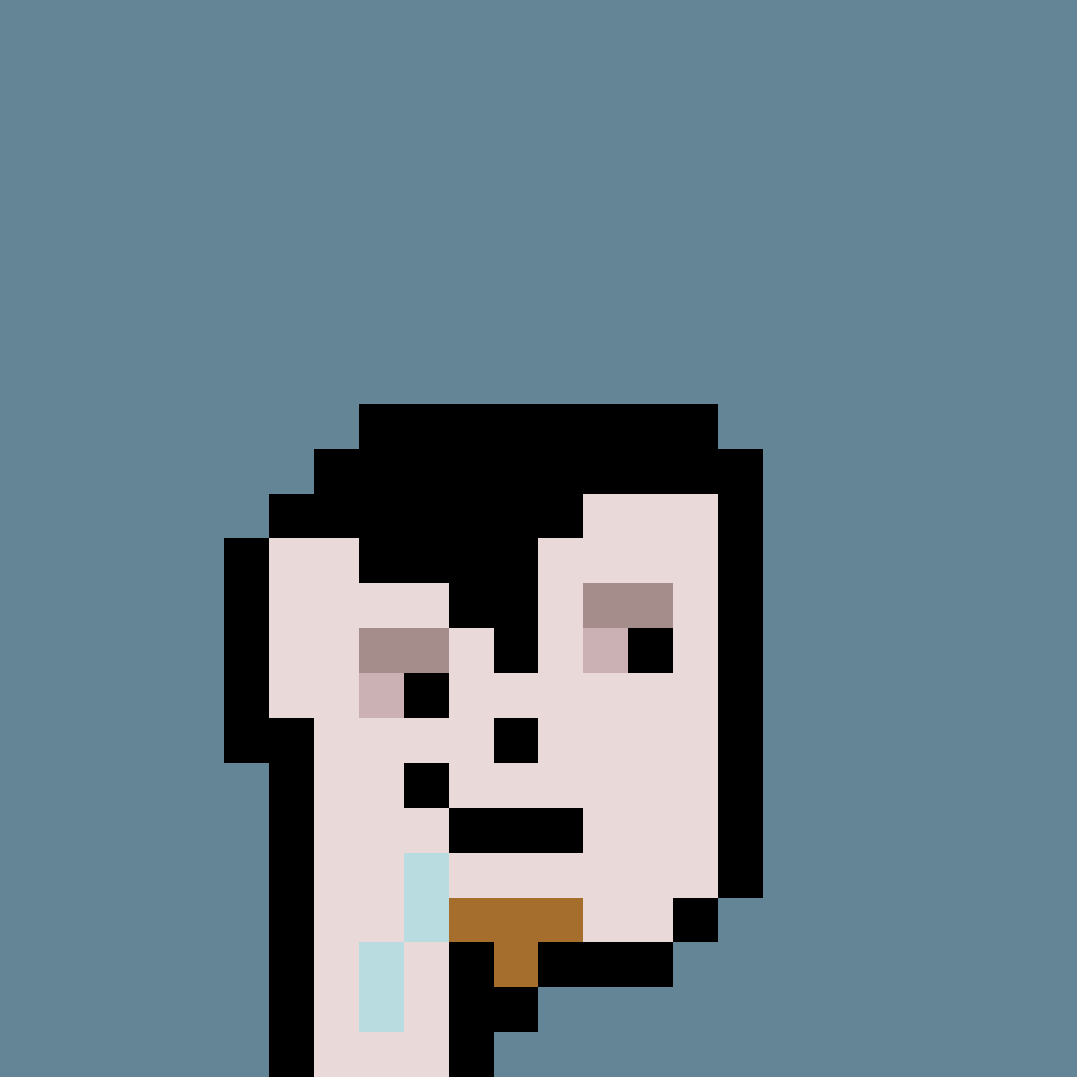 PNUKS #343