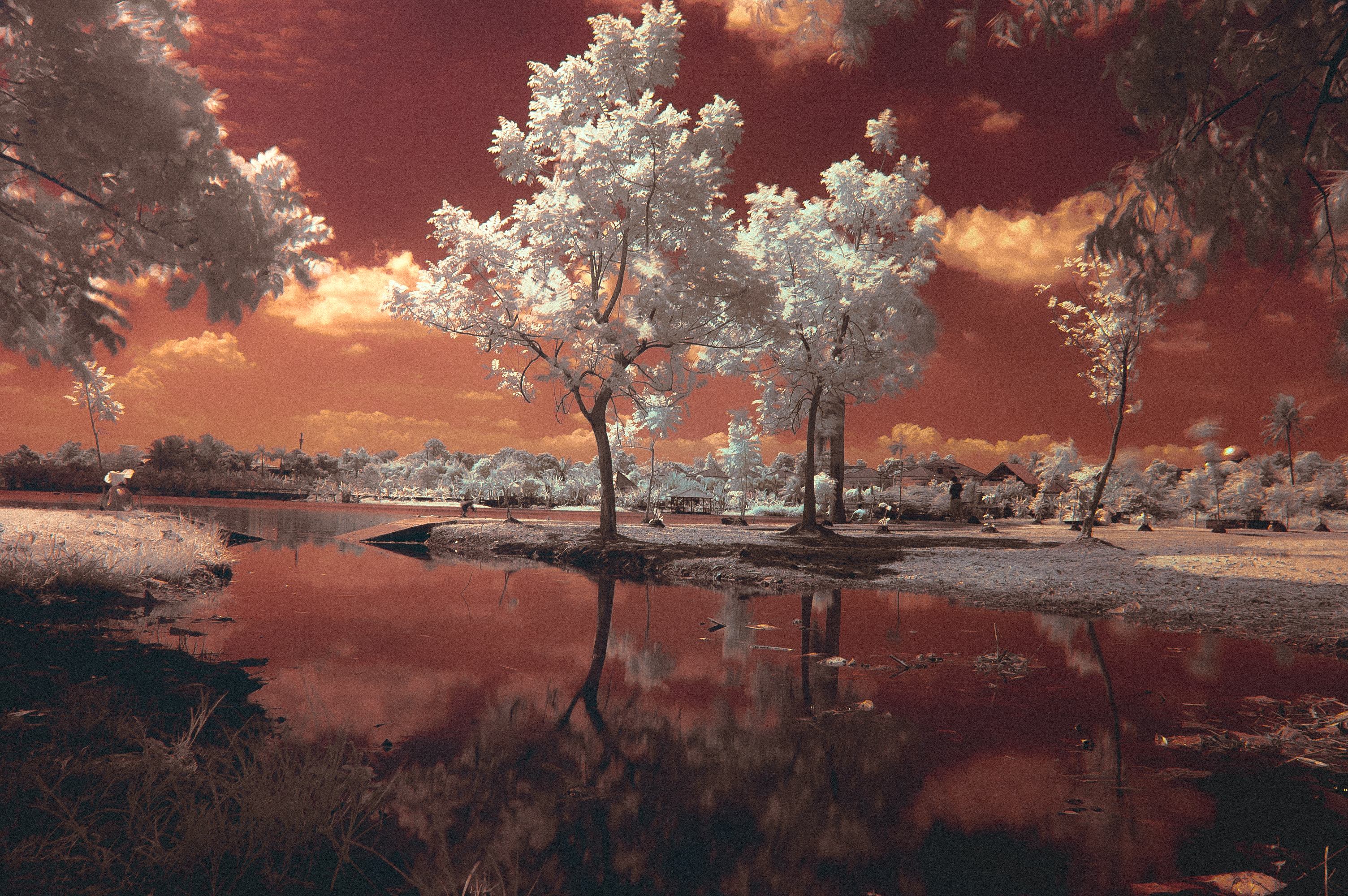 Untitled #IR02