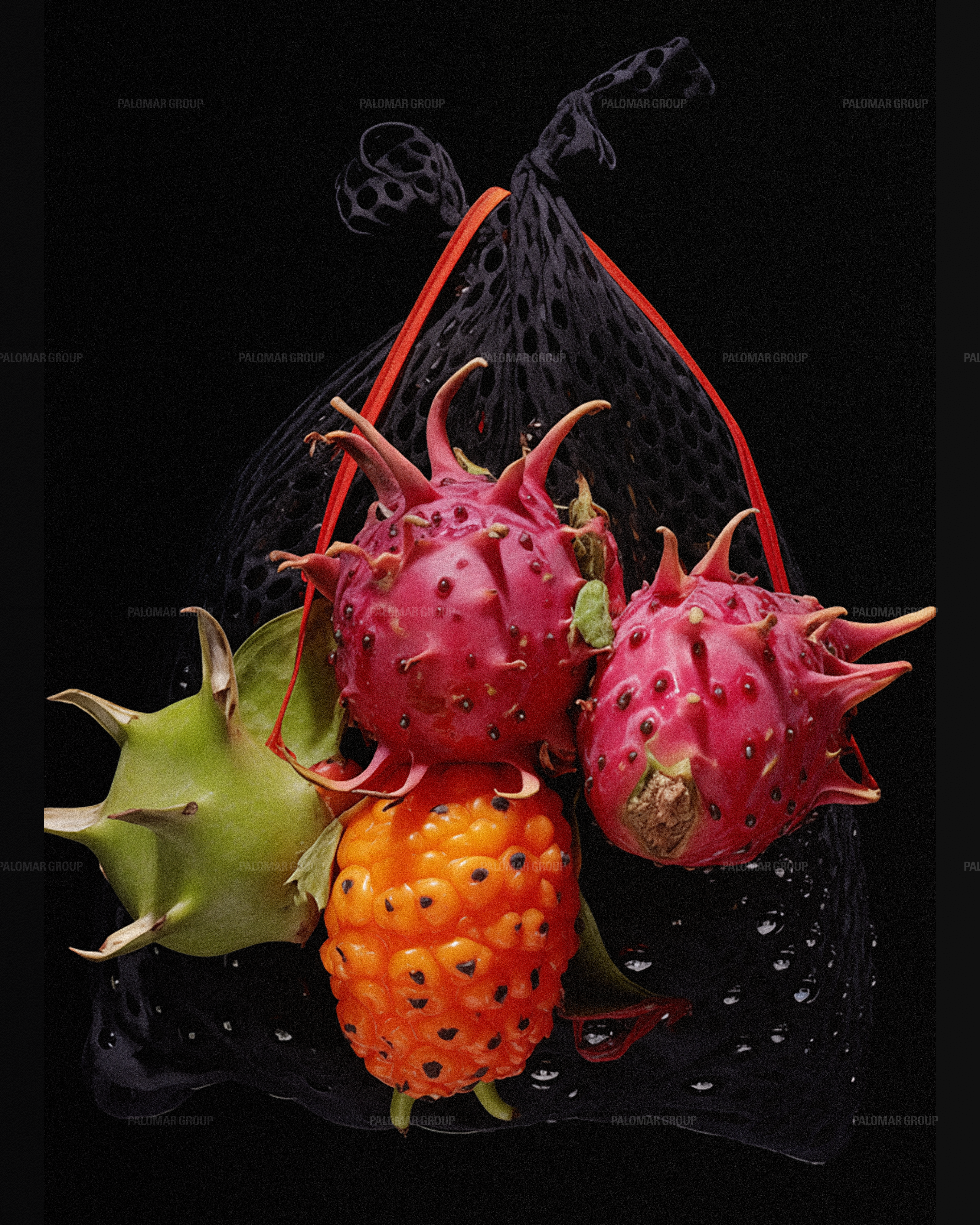 Dragon Fruit Still Life 