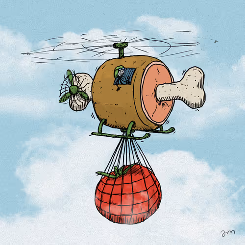 hamicopter