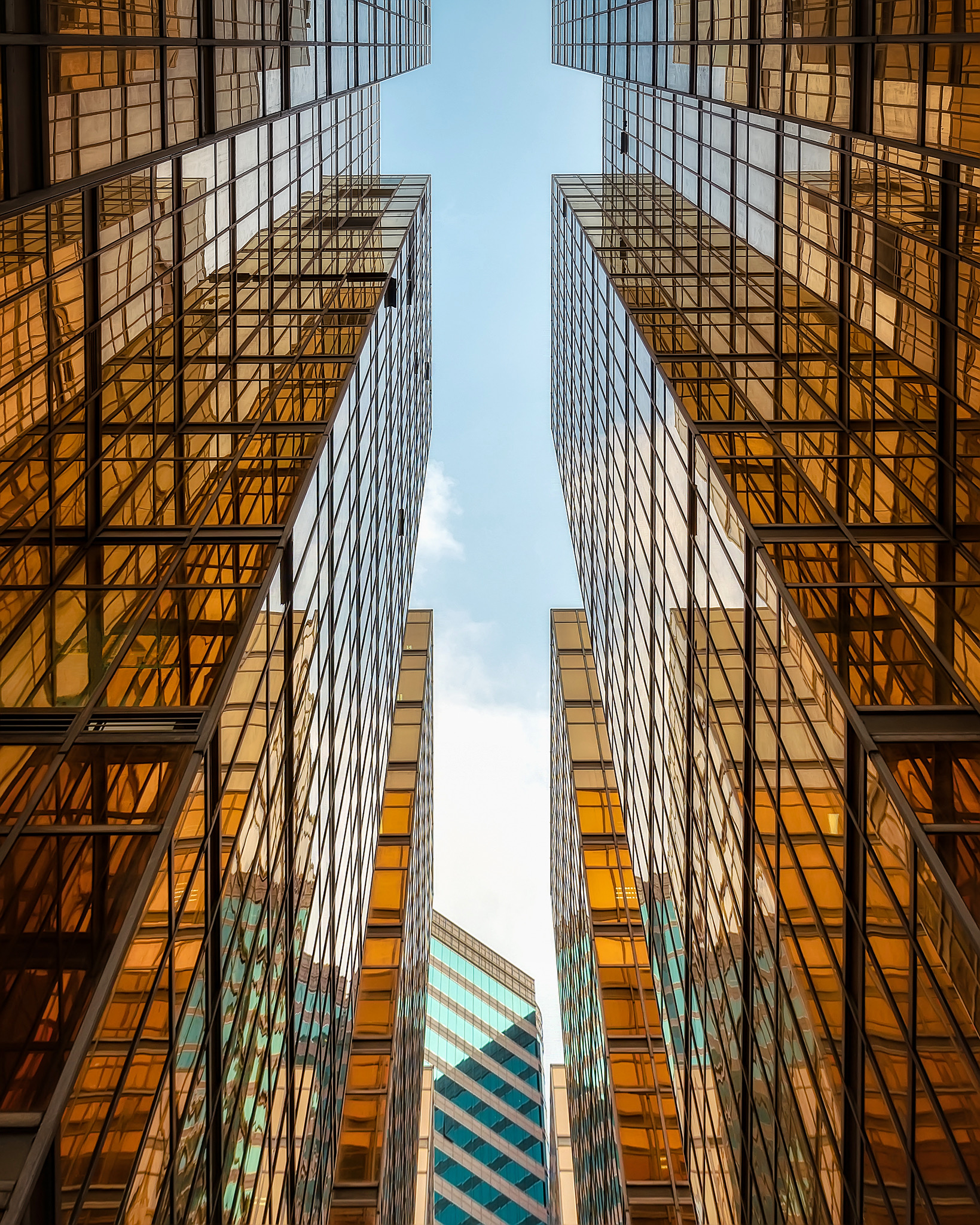 Golden Towers