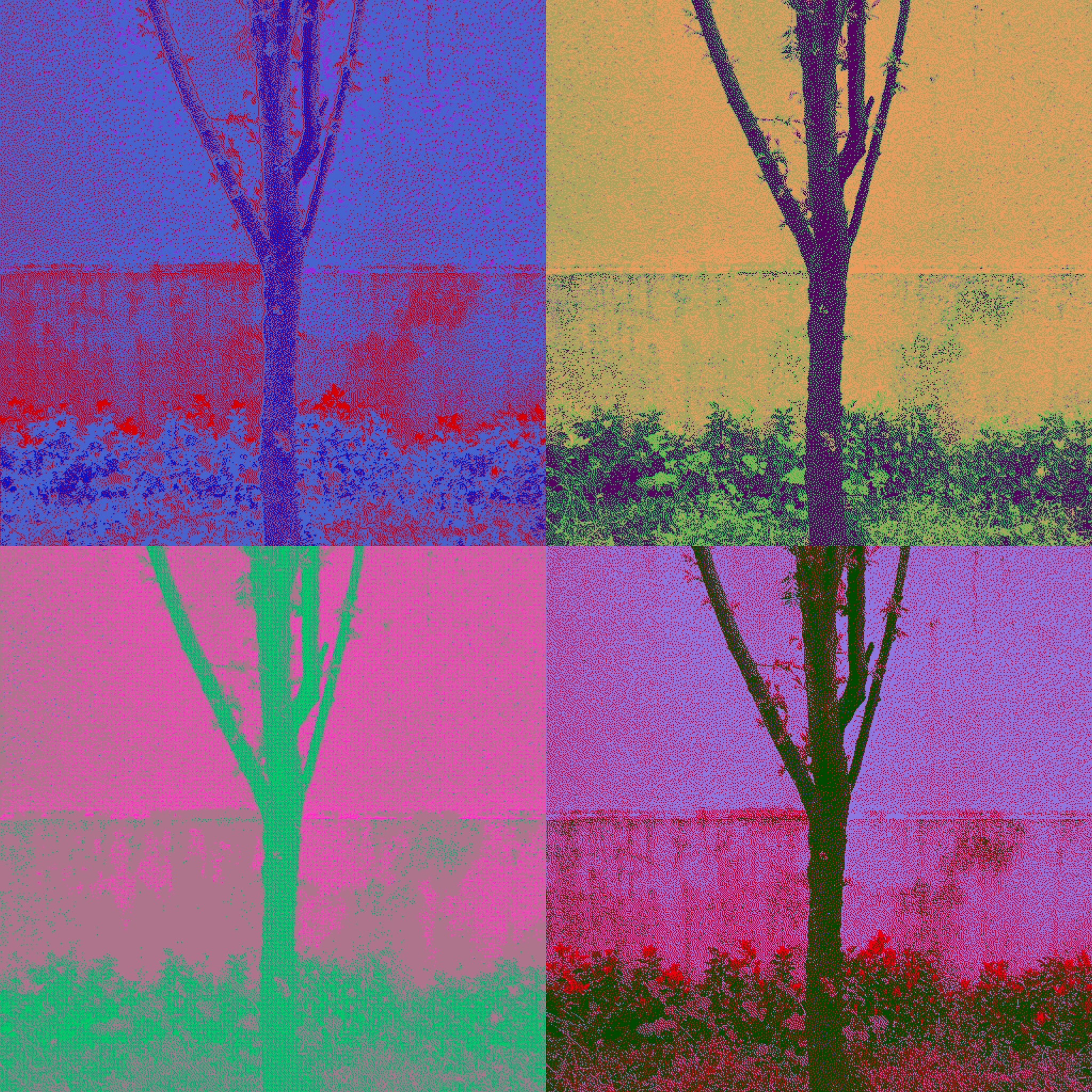 Trees 24Mar2025 #31