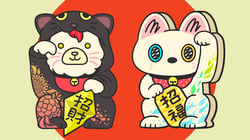 token 5