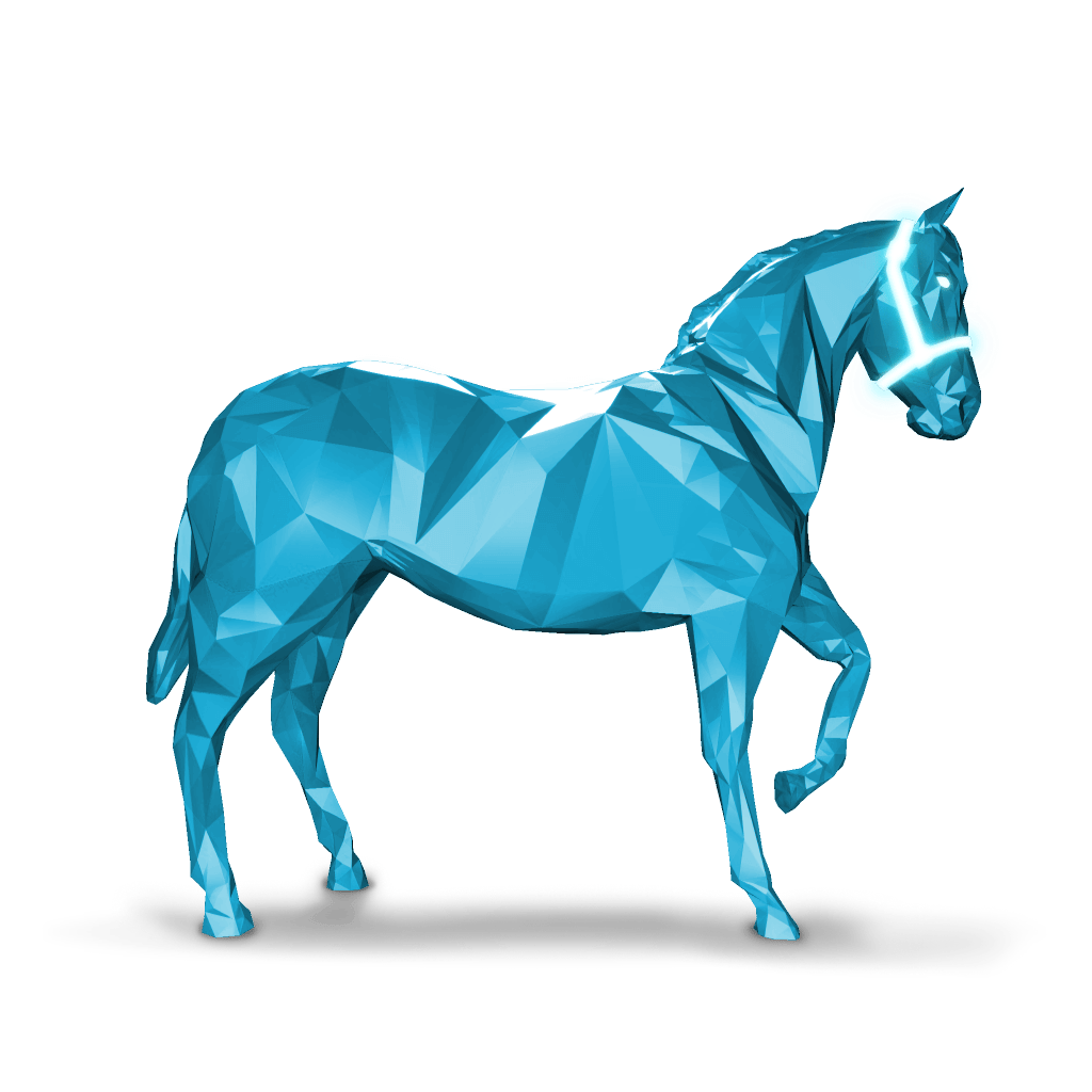 Pony Boy