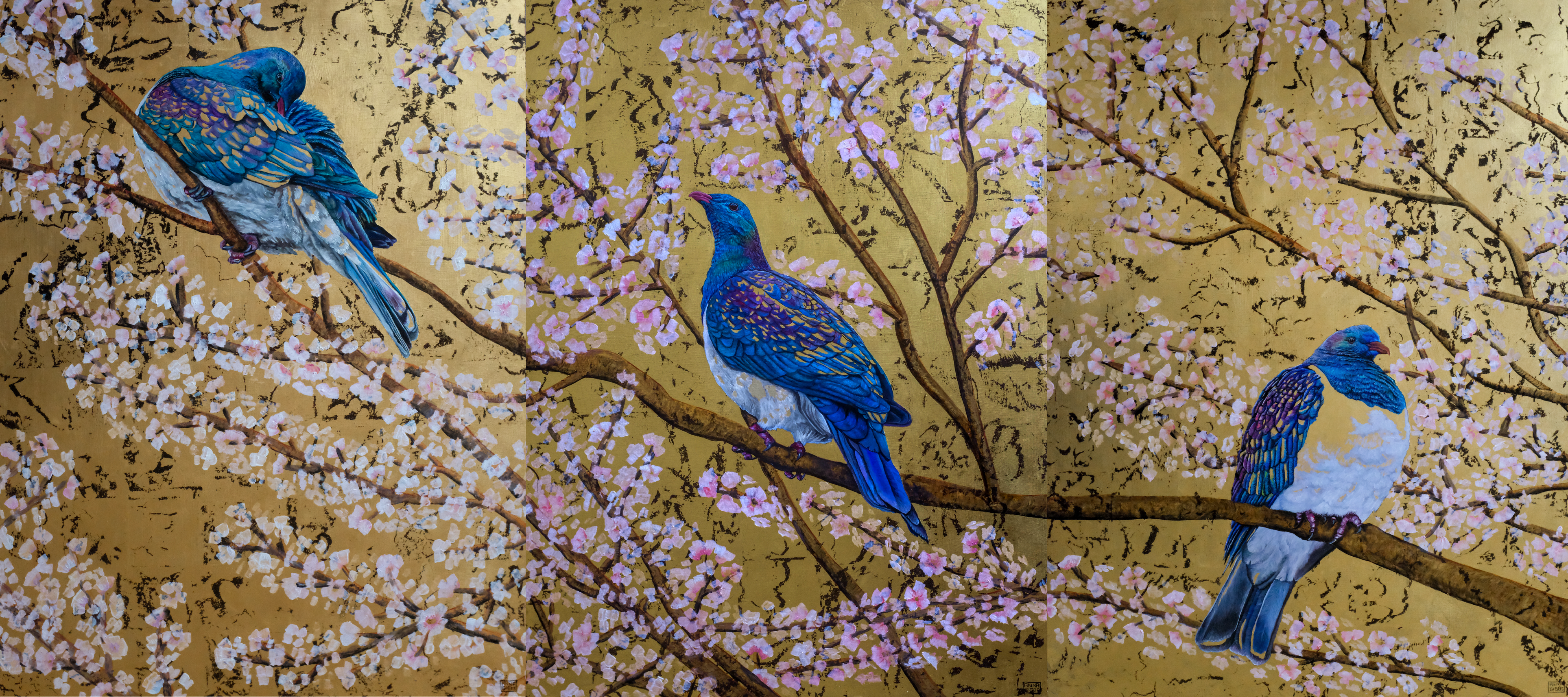 Kereru Triptych
