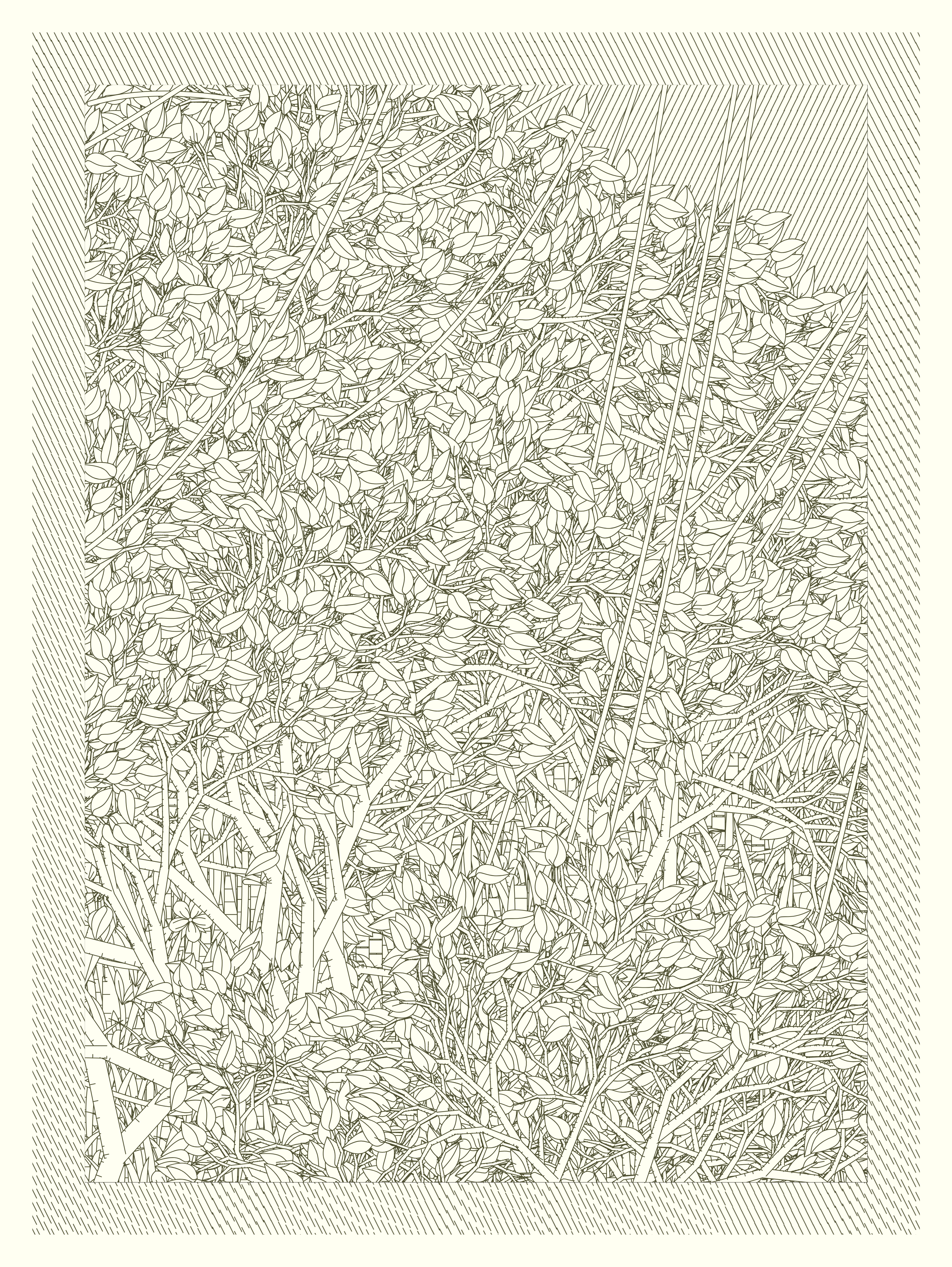 Entangled #212