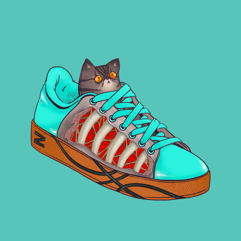 SHOEz #689