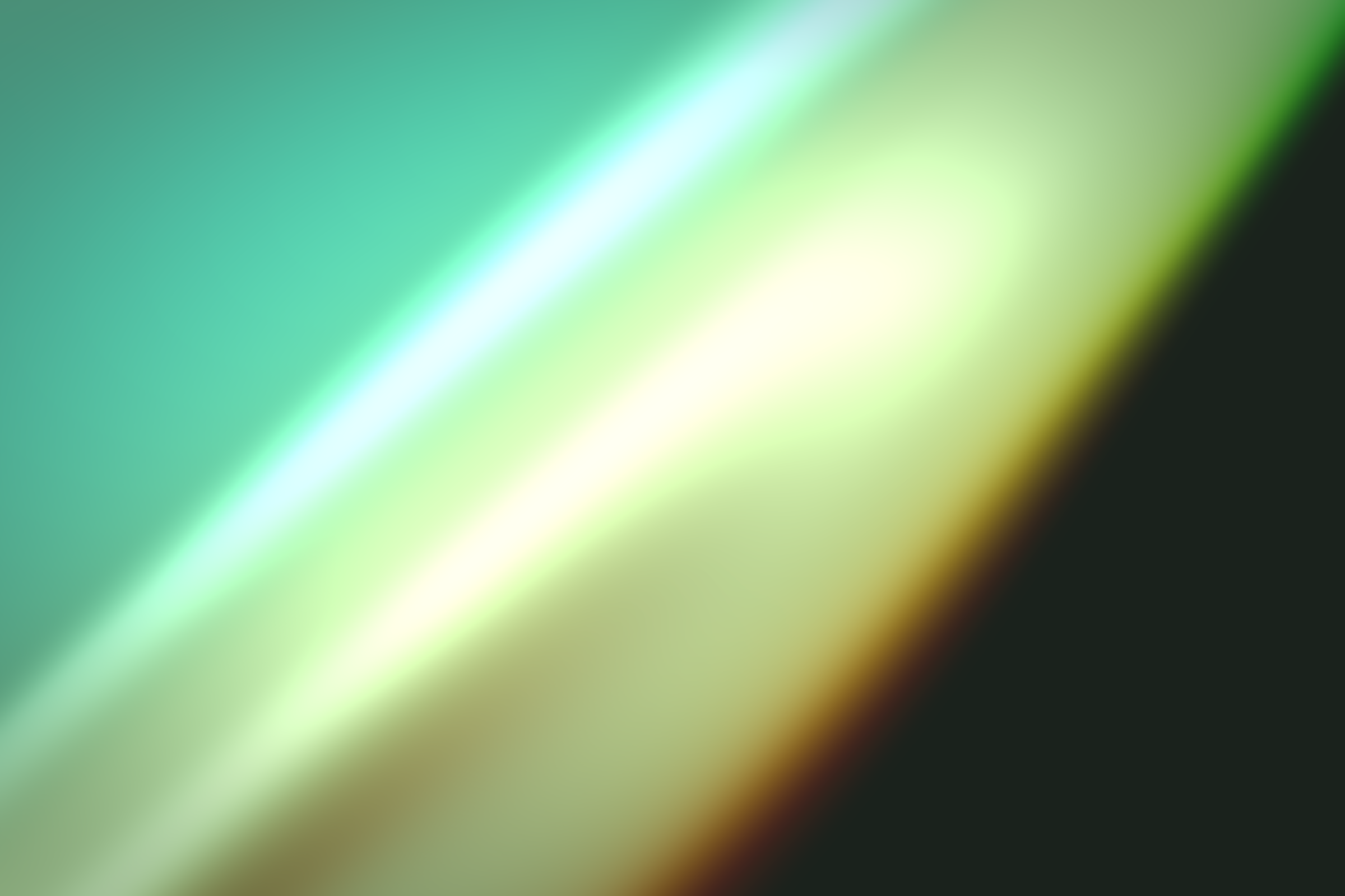Flux #125