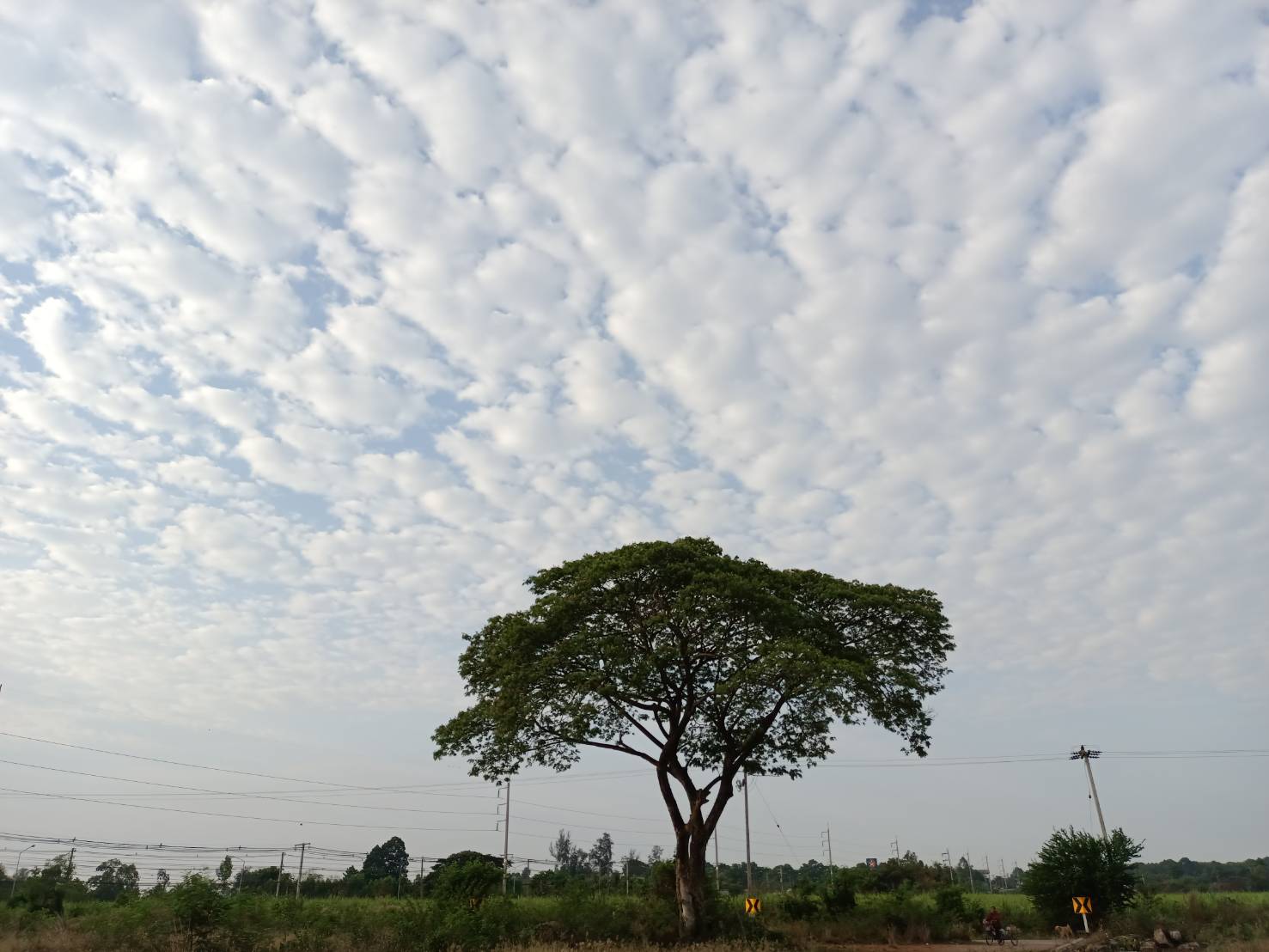 sky#3