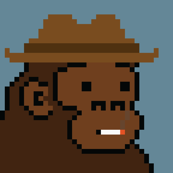 Kong Punk #09564