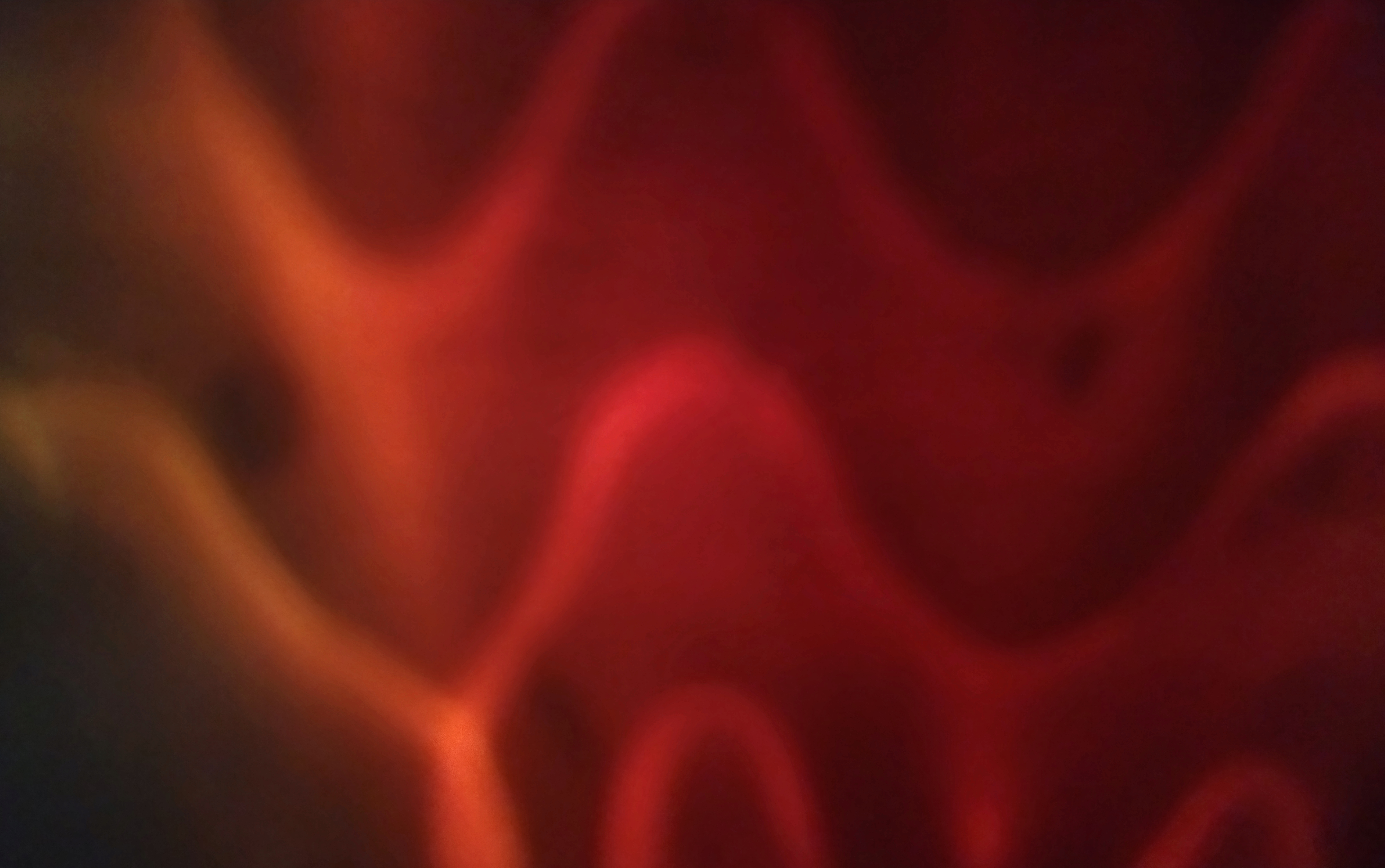 Portal #12