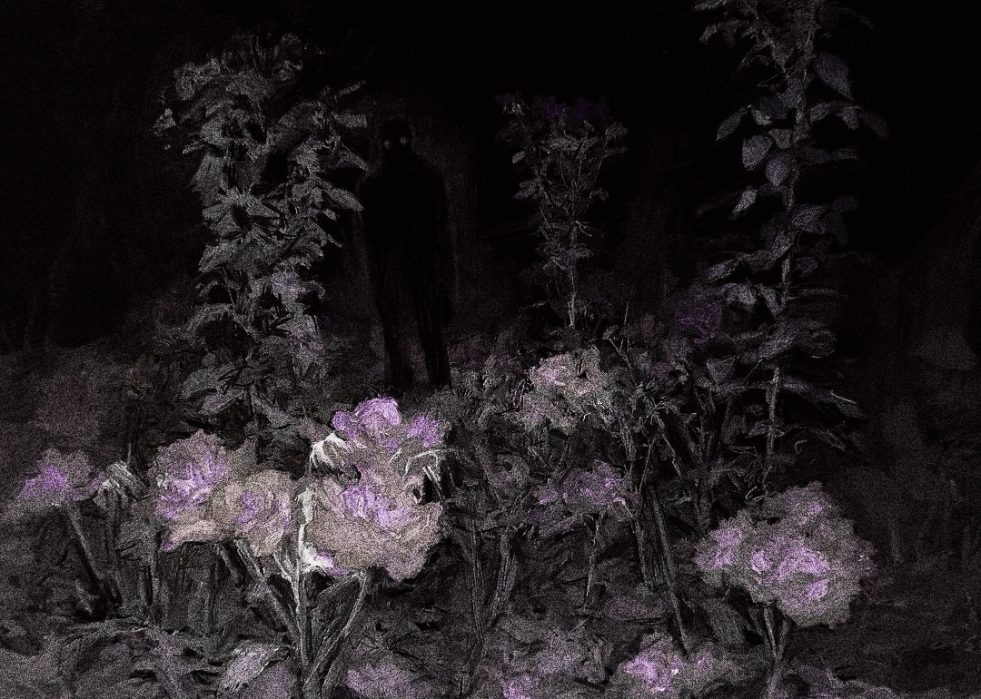 The roses of the night