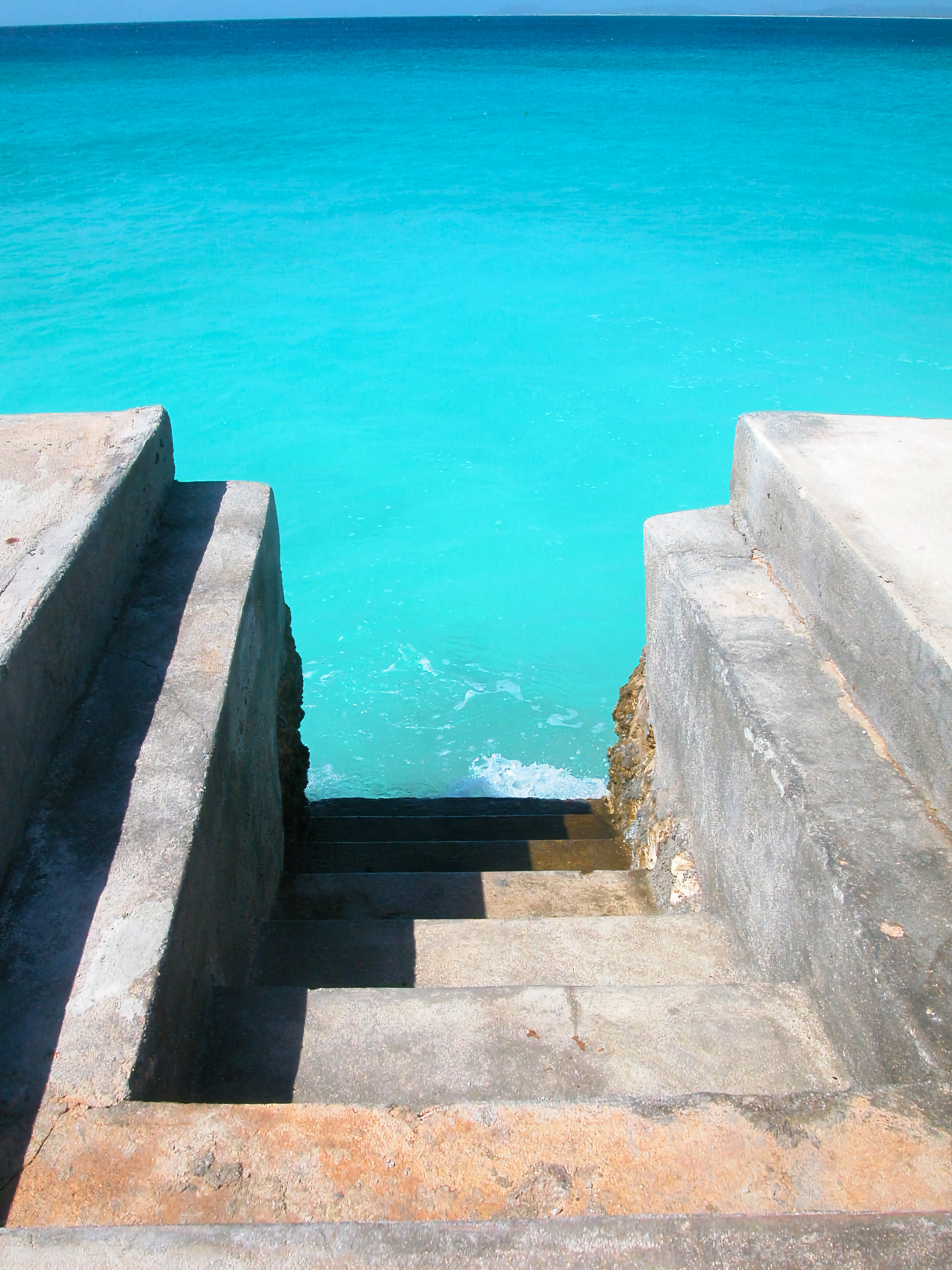 The First Step