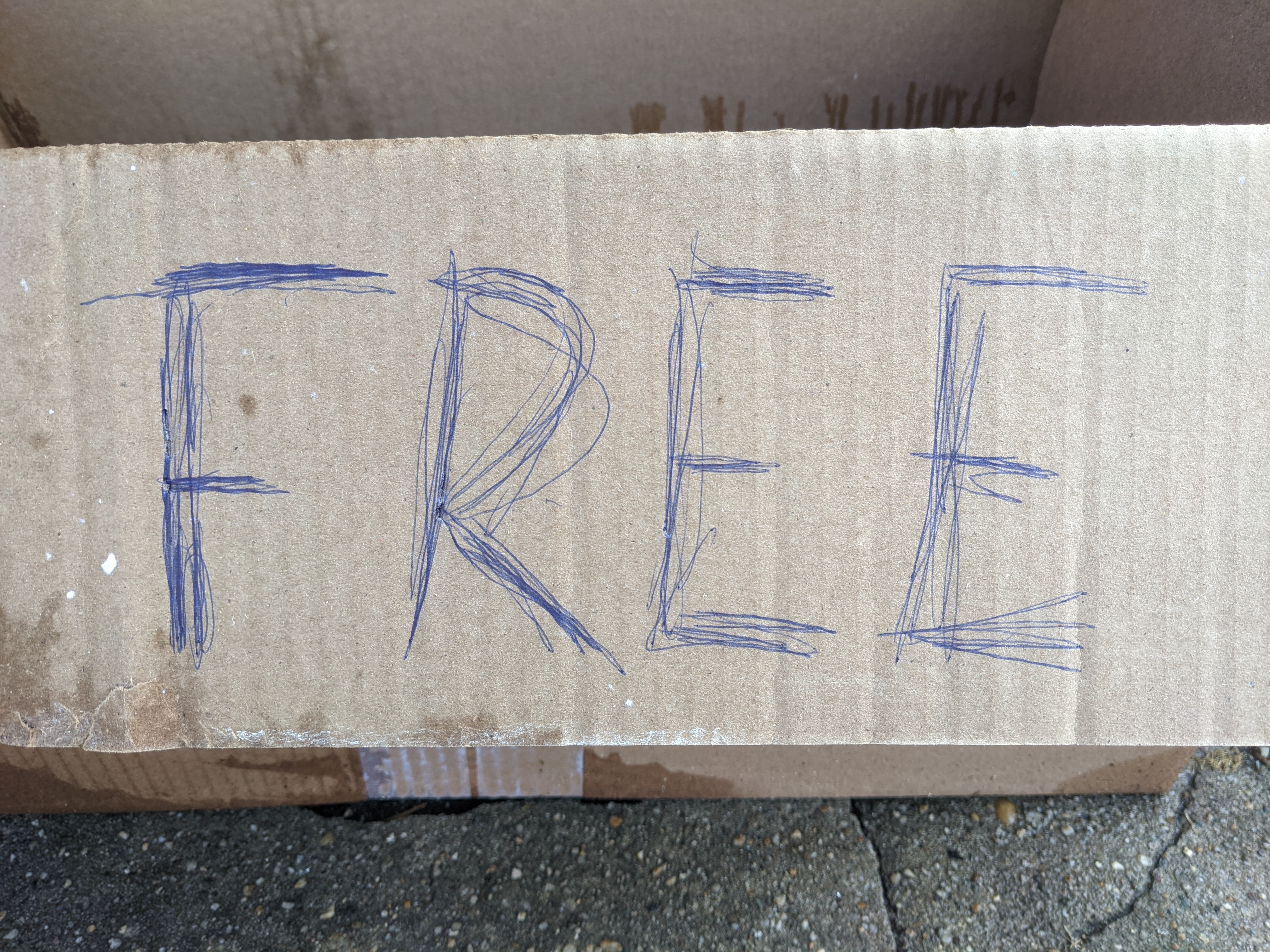 Free19 #5