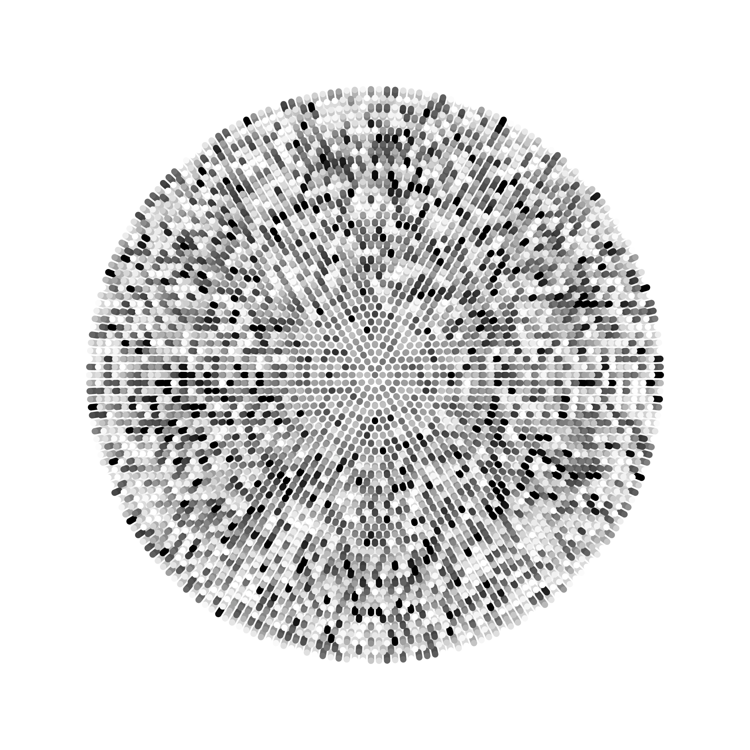Transitions #3132