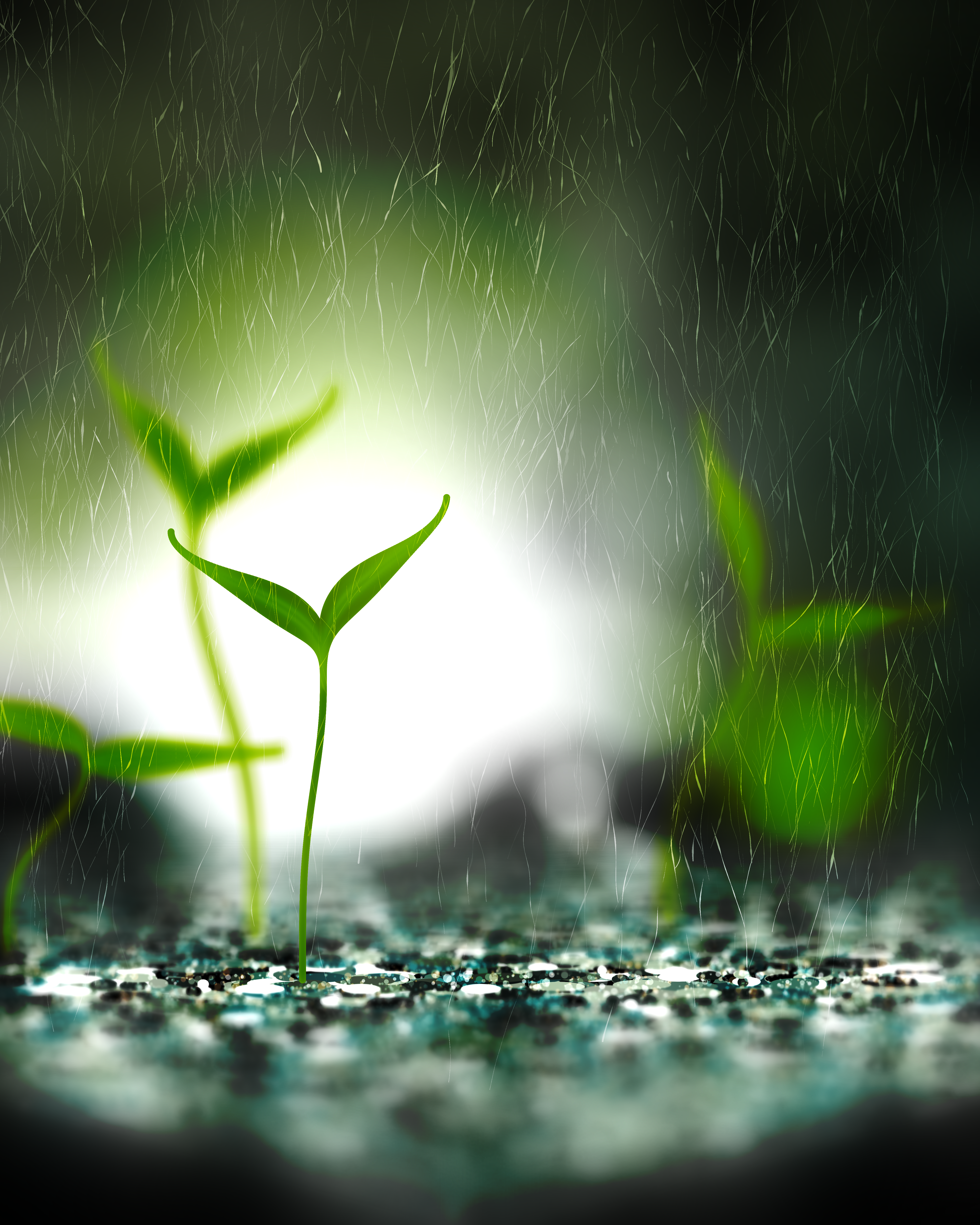 Take Root #6