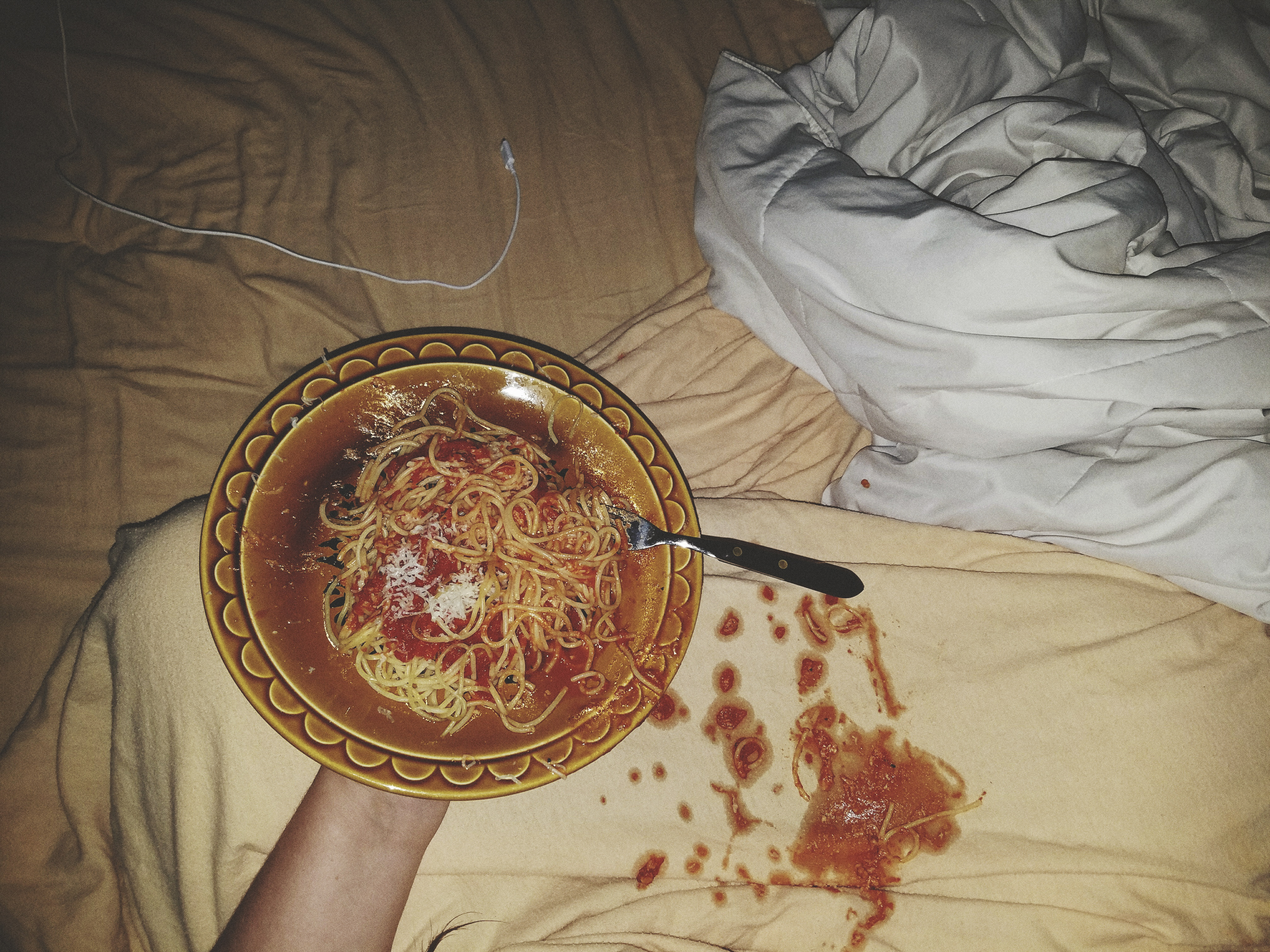 The Spaghetti Incident
