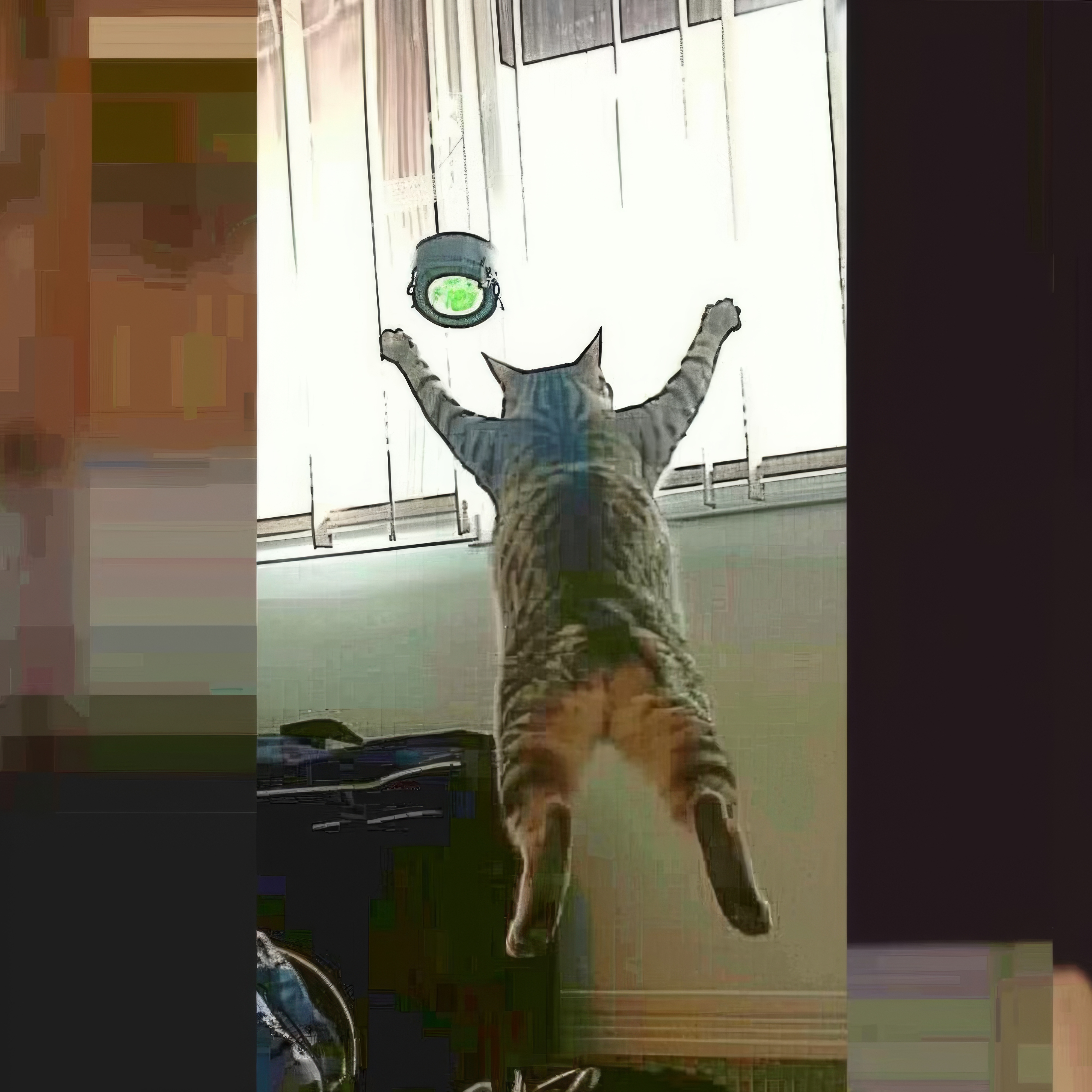 Frisky-Feline