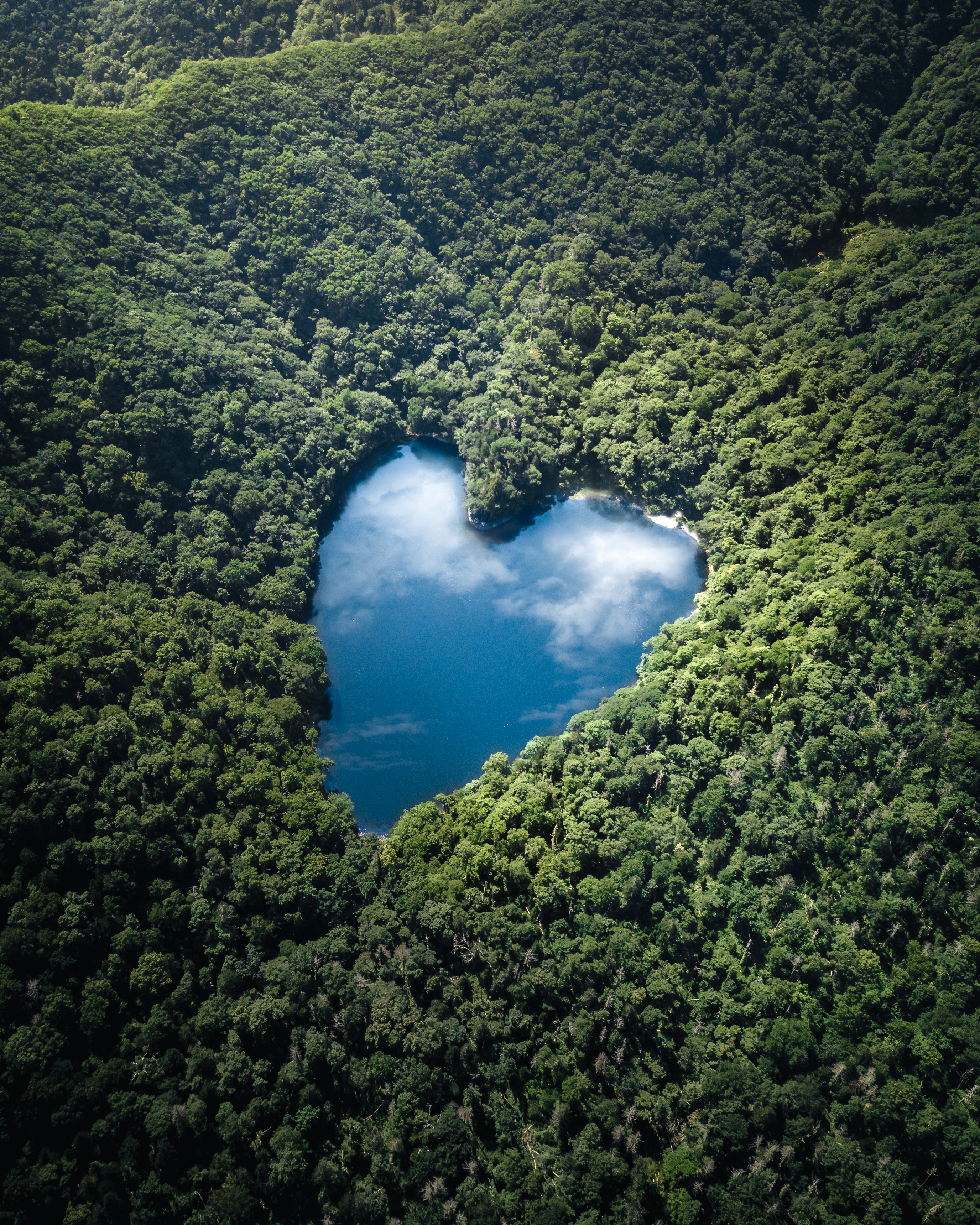 The Blue Heart