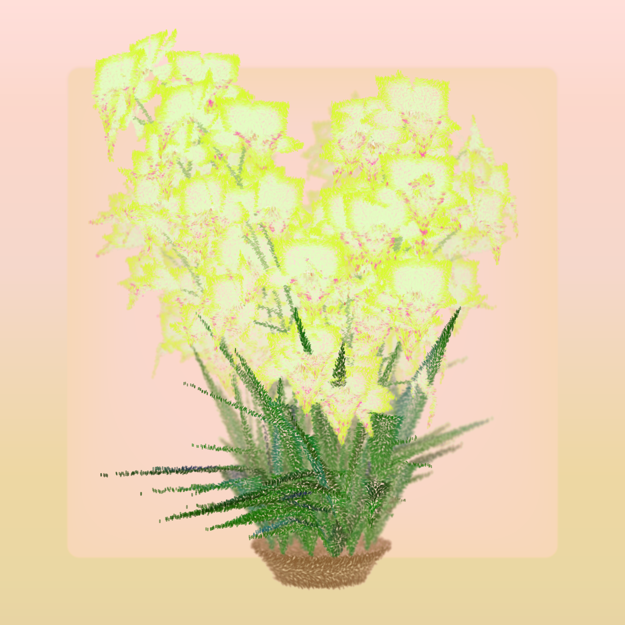 Cattleya #249