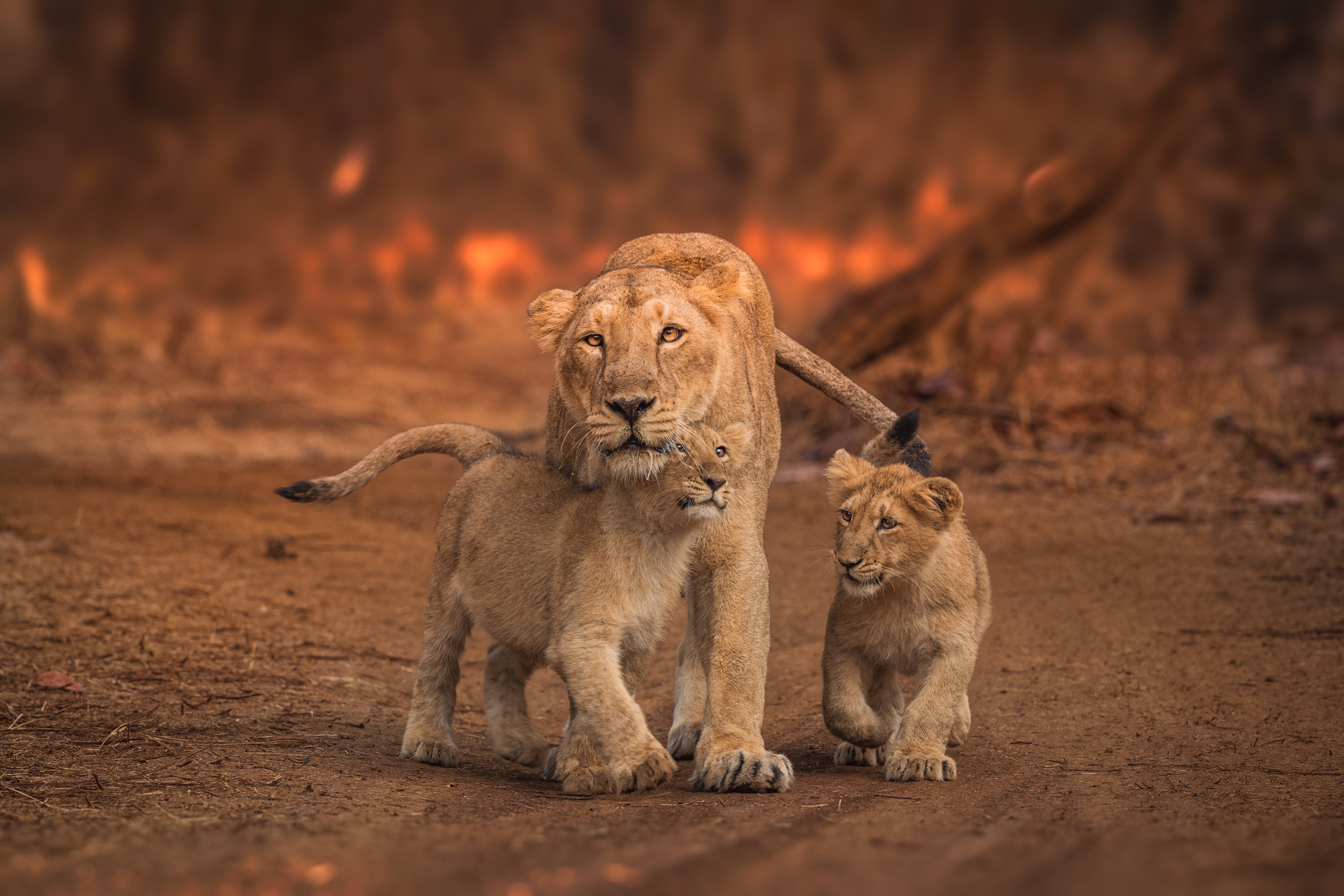 Walking together