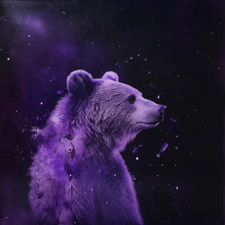 bear #2362