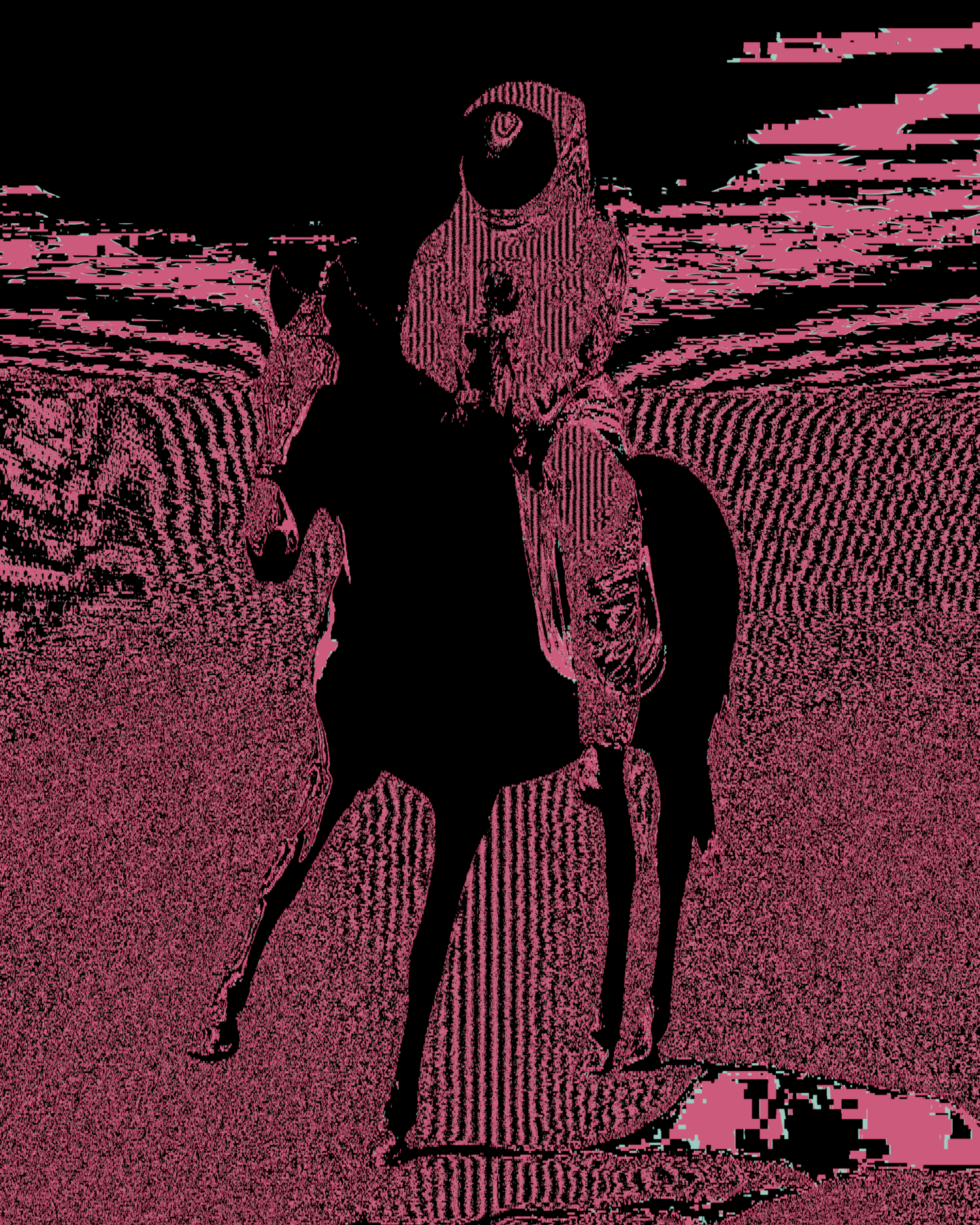 GLITCH STUDIED