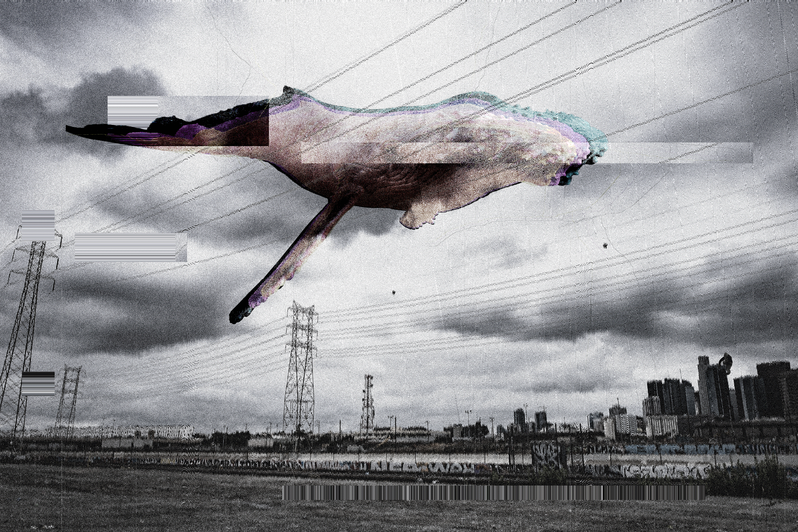 DOPPELGÄNGER - INVERSION OF NATURAL ORDER, WHALE