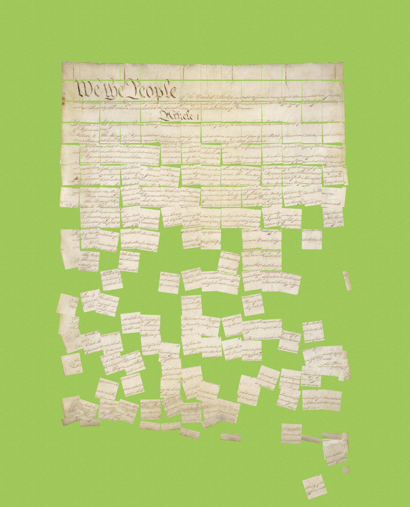 Constitution Fractionalized #769