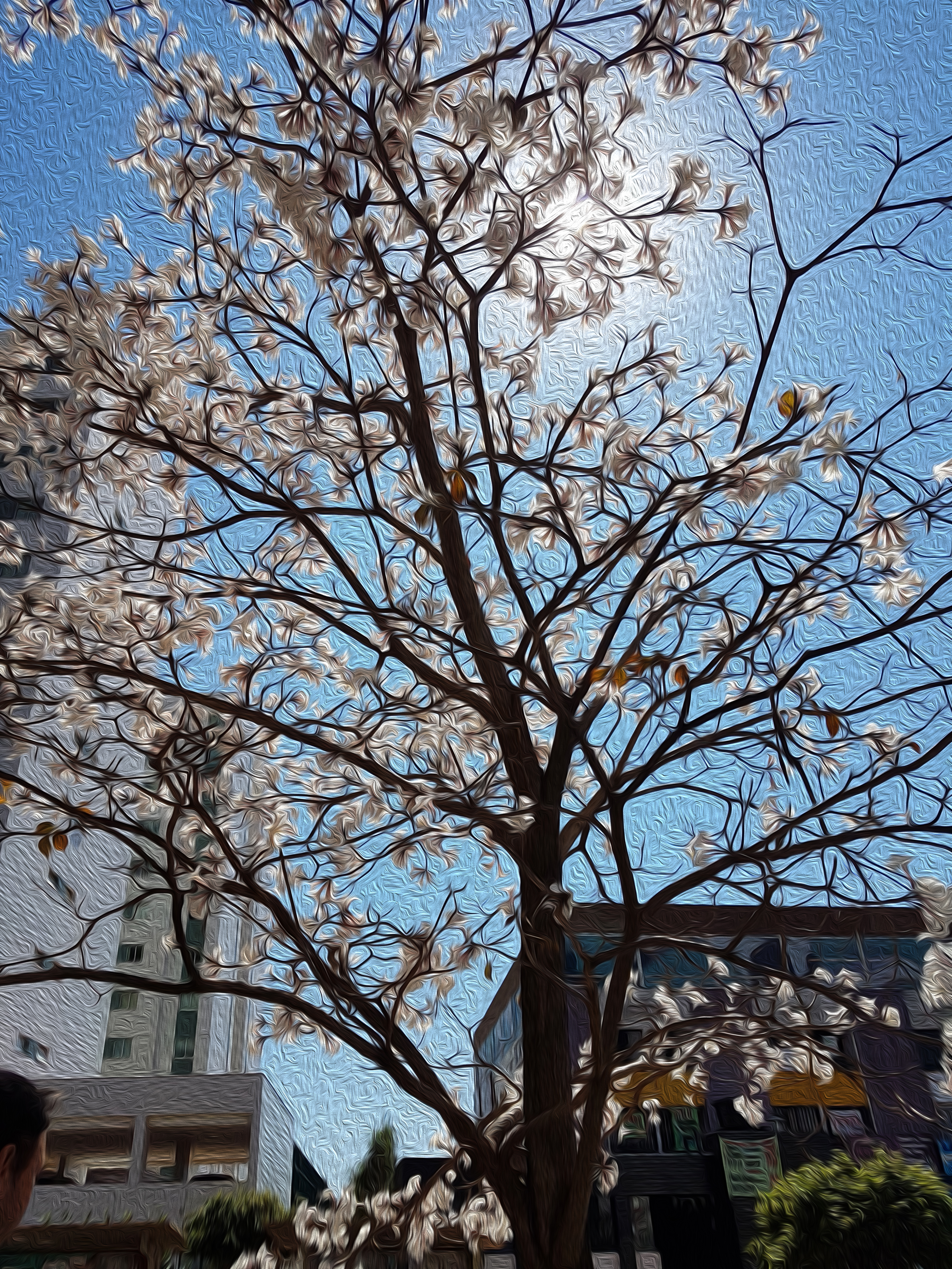 Sunny Day