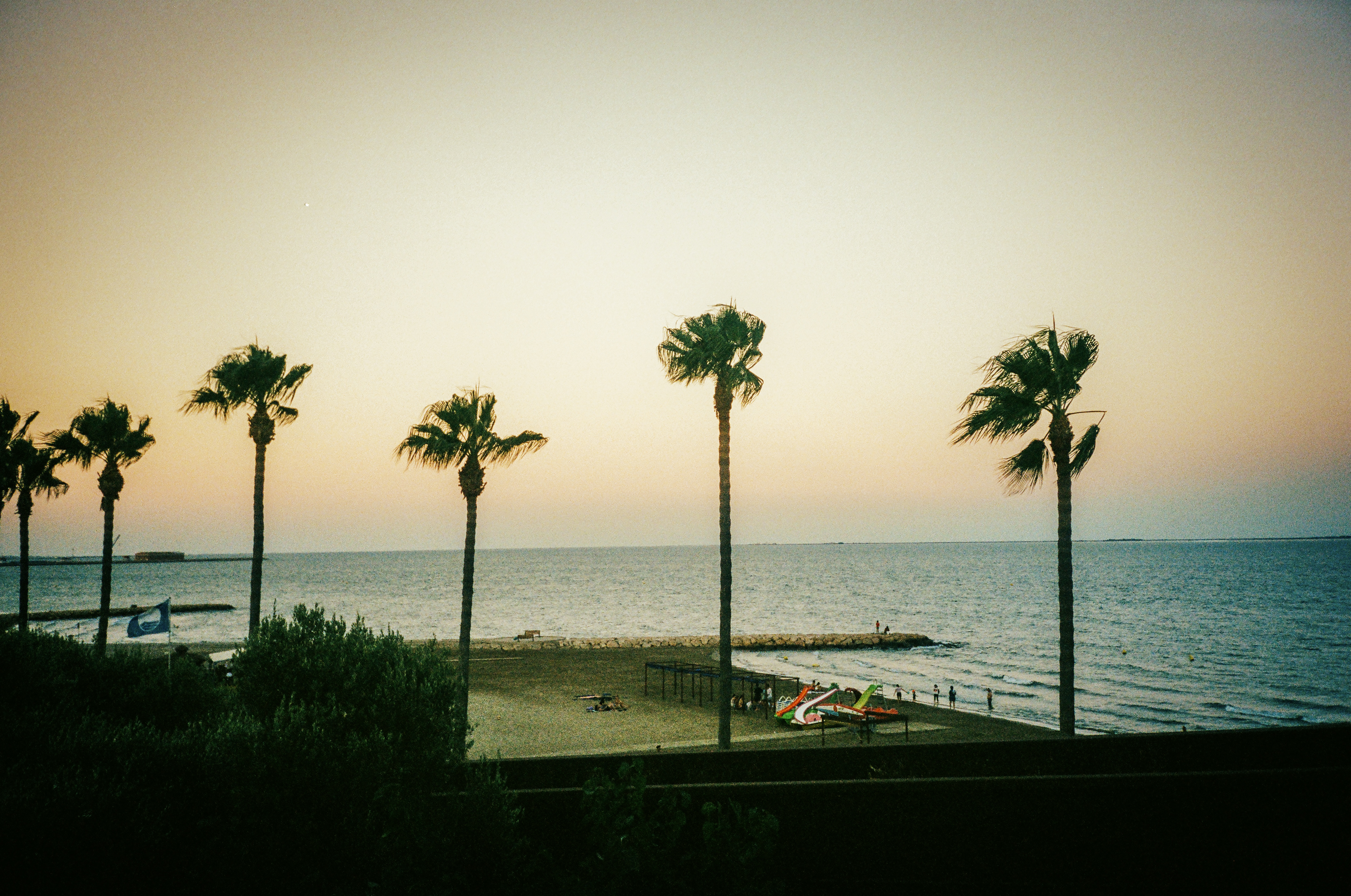 The view