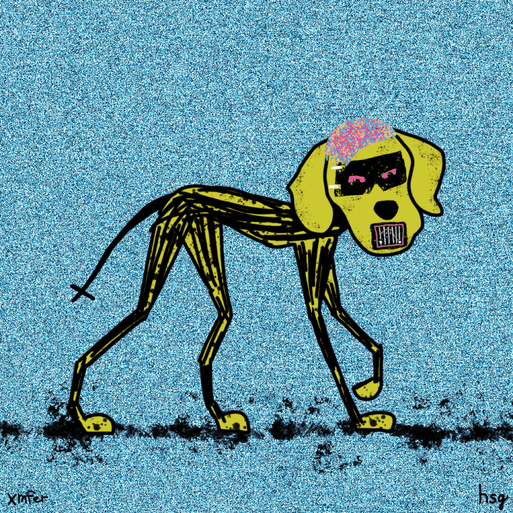dog #34