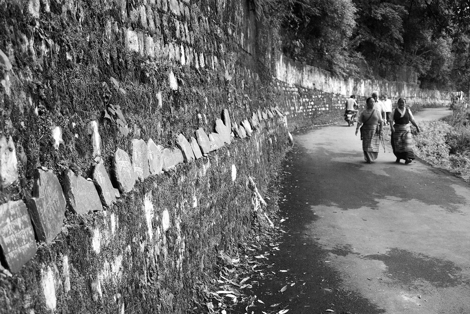 In search of the Dalai Lama