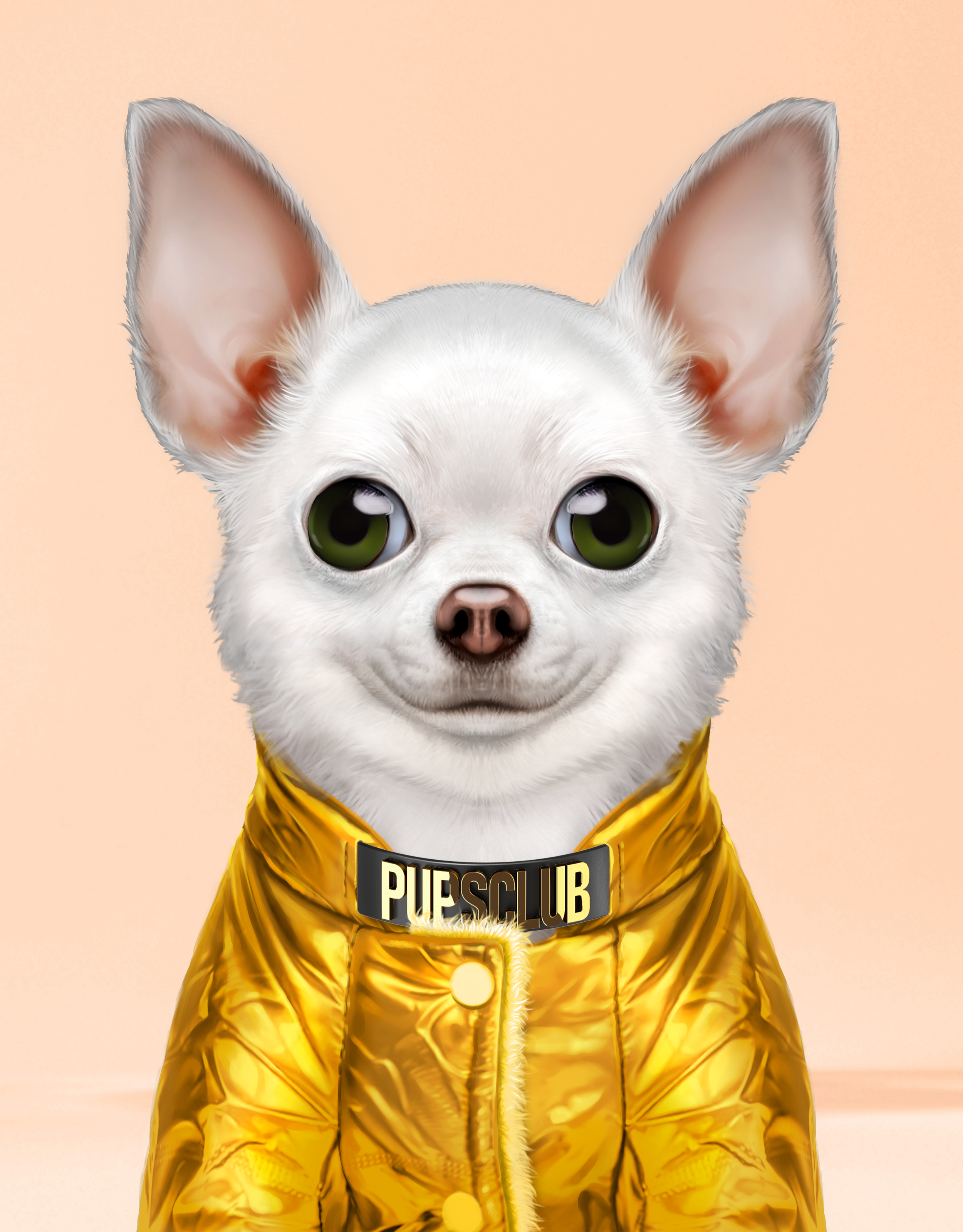 Pup #9013