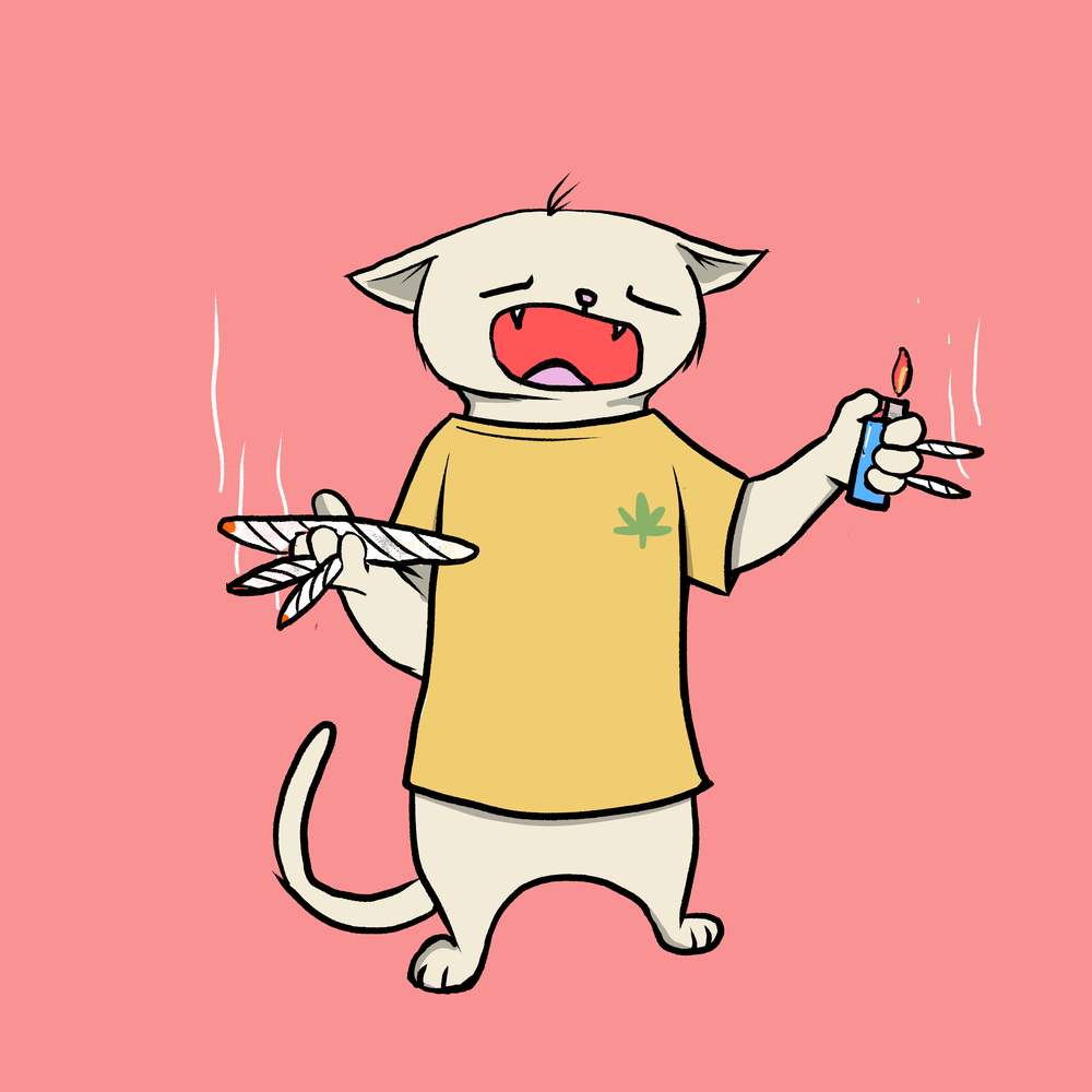 Blazed Cat #449