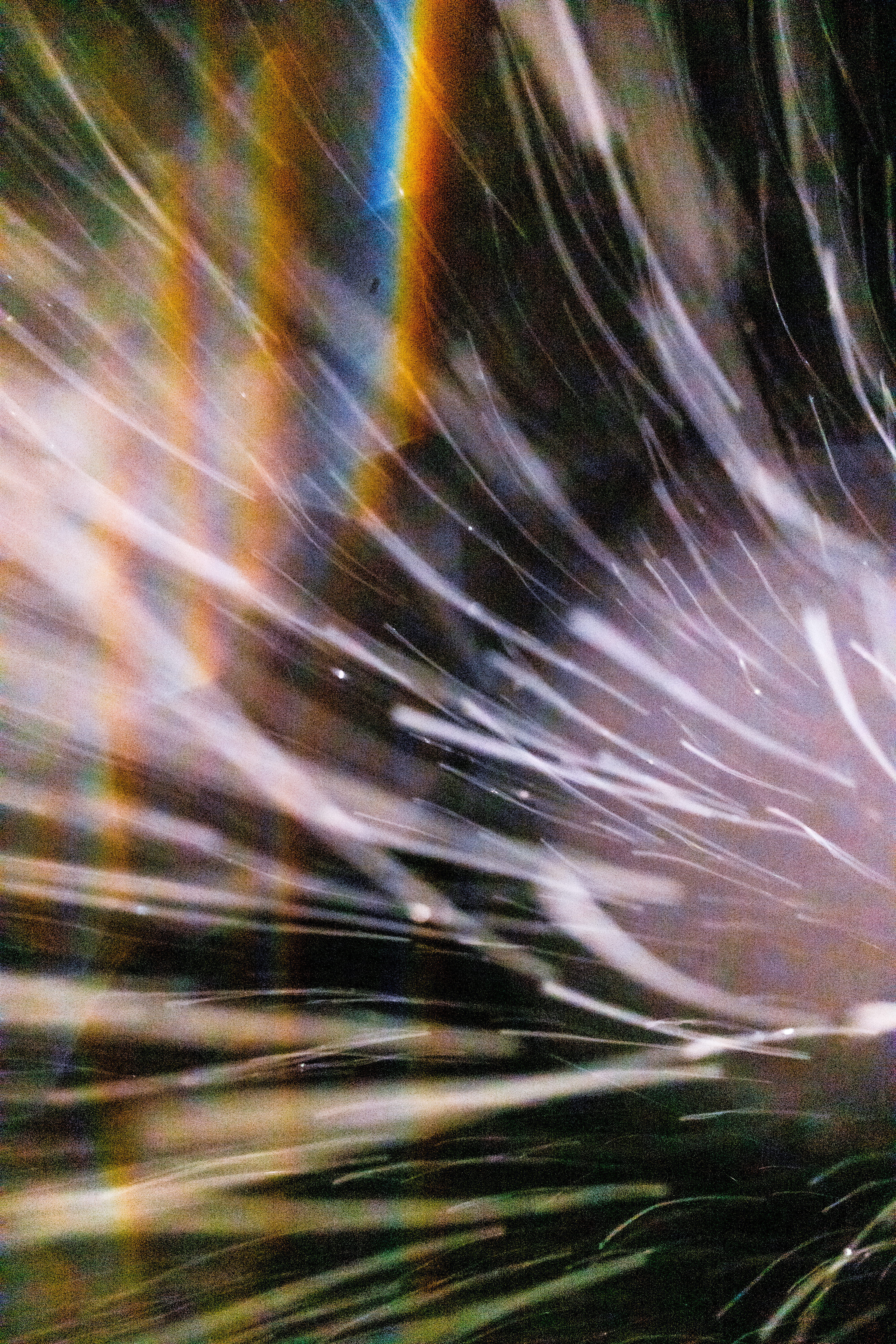 L1210079 : An omen of the skies
