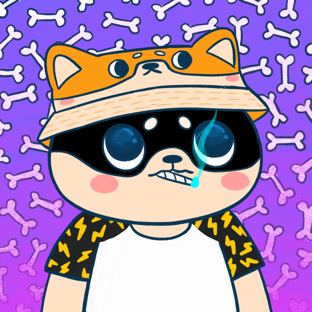 Super Shiba #5316