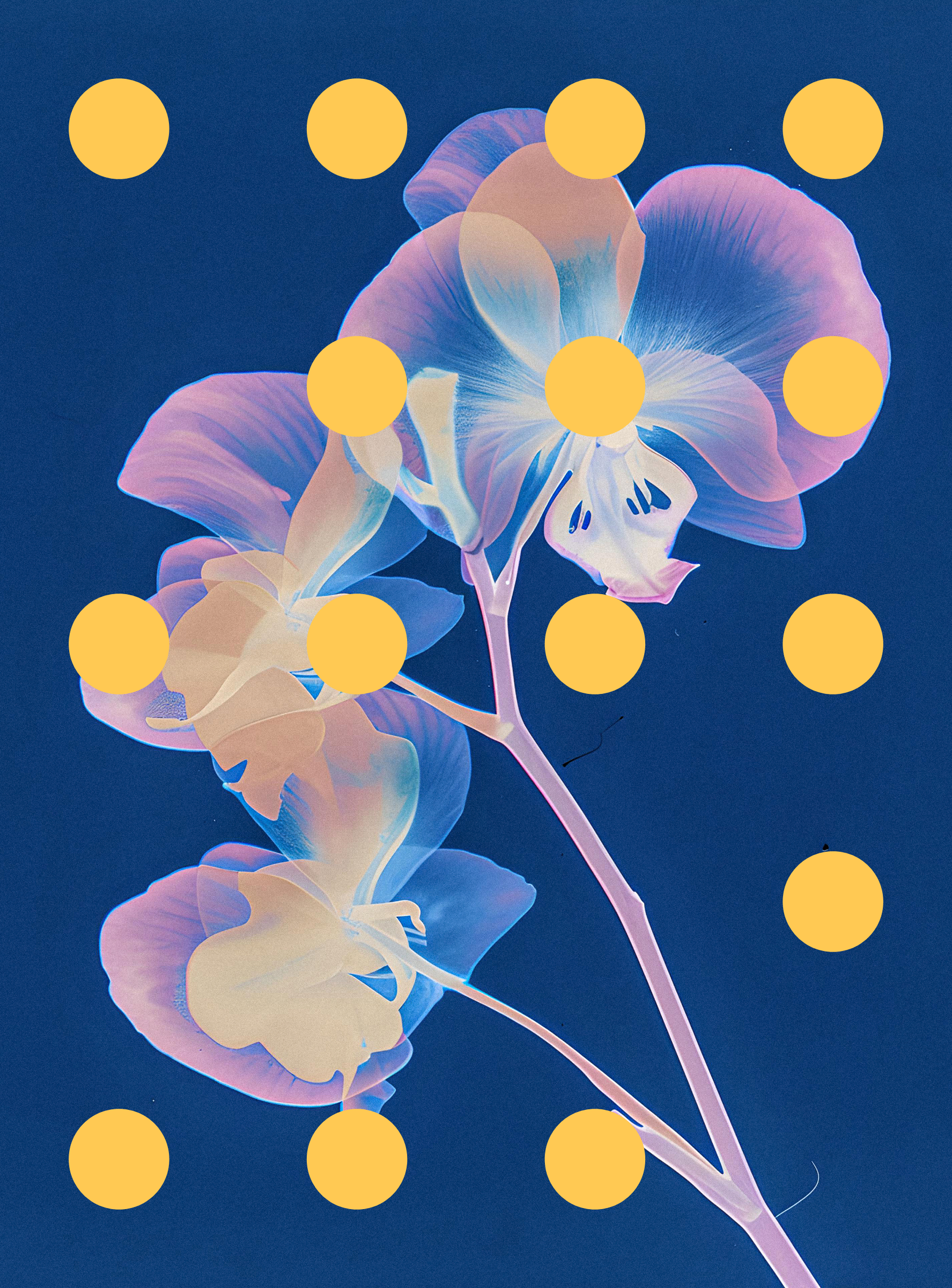 Flore Perdue #85