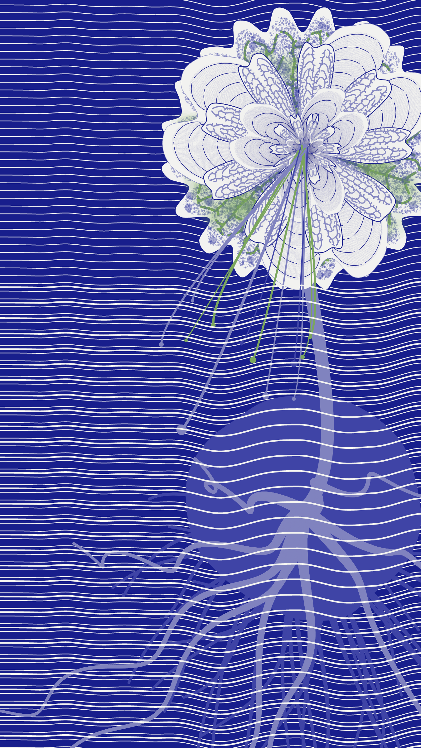 Underwater #73
