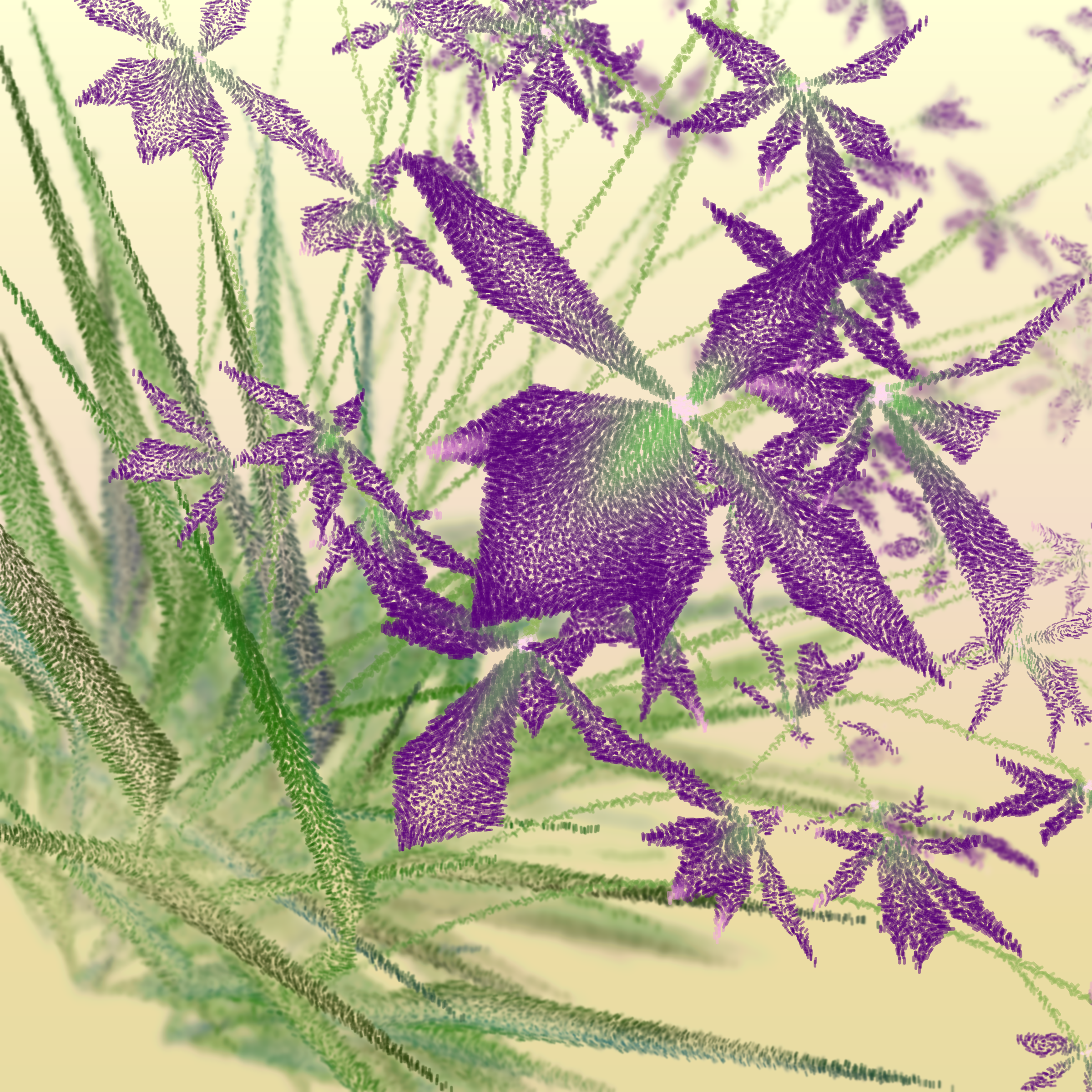 Cattleya #51