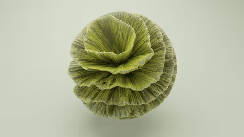 Flora #22 - A Journey To Serenity