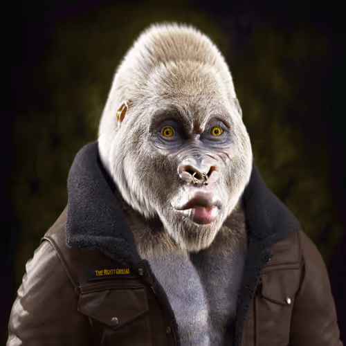 Mighty Gorilla #503