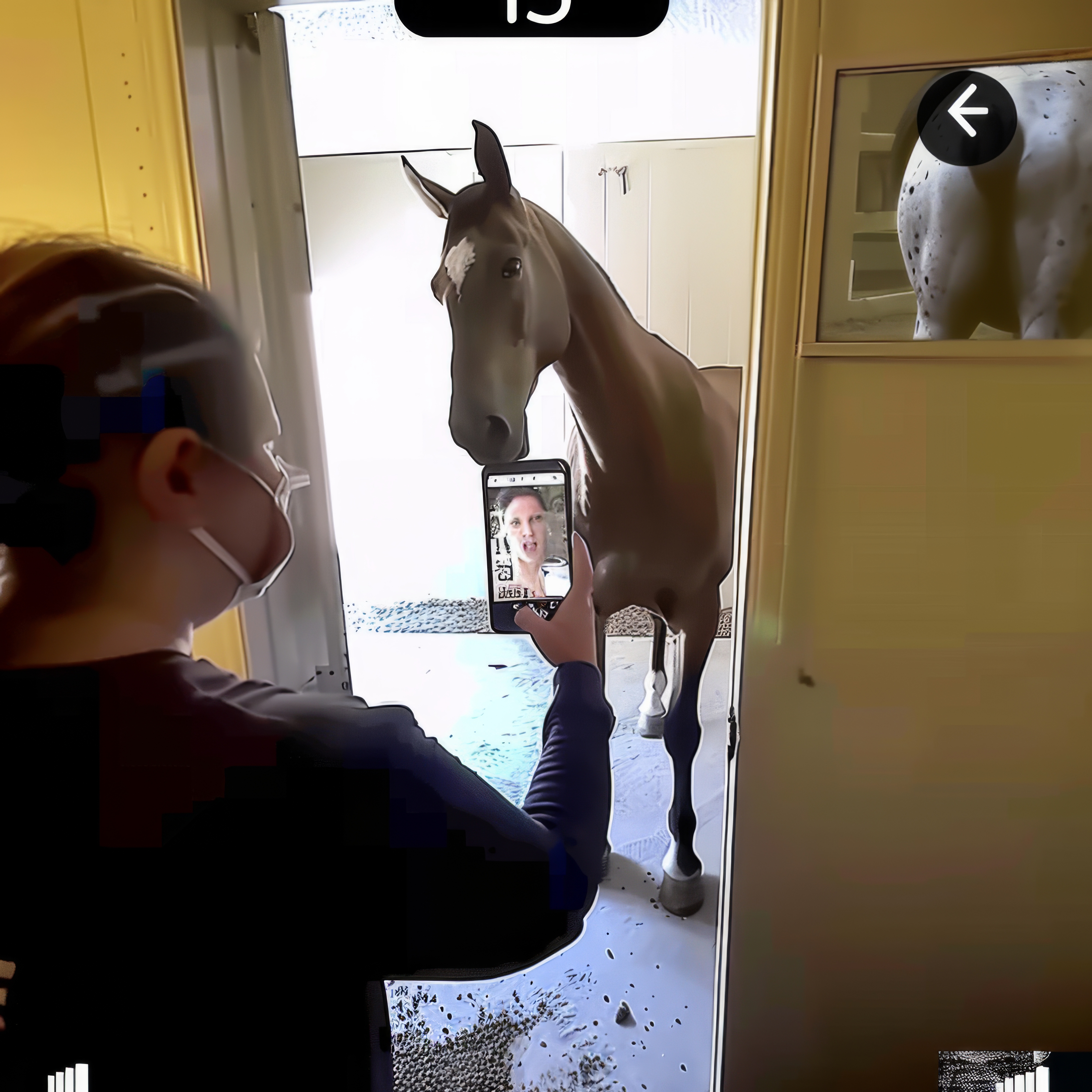 Horse-Selfie