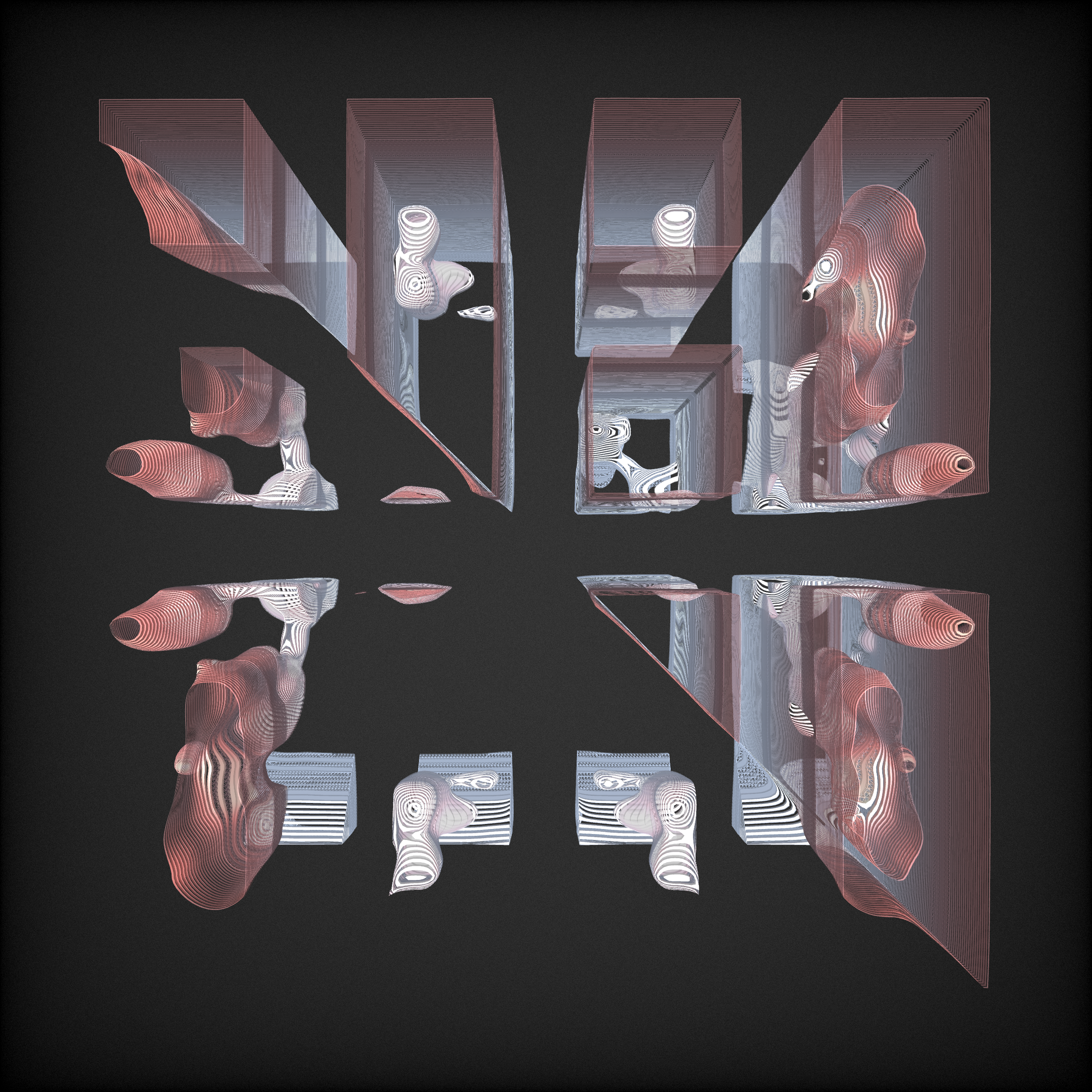 Fluxus #6