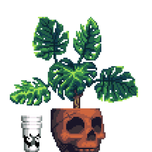 Monstera in Clay Skull pot with Myk Double Cup